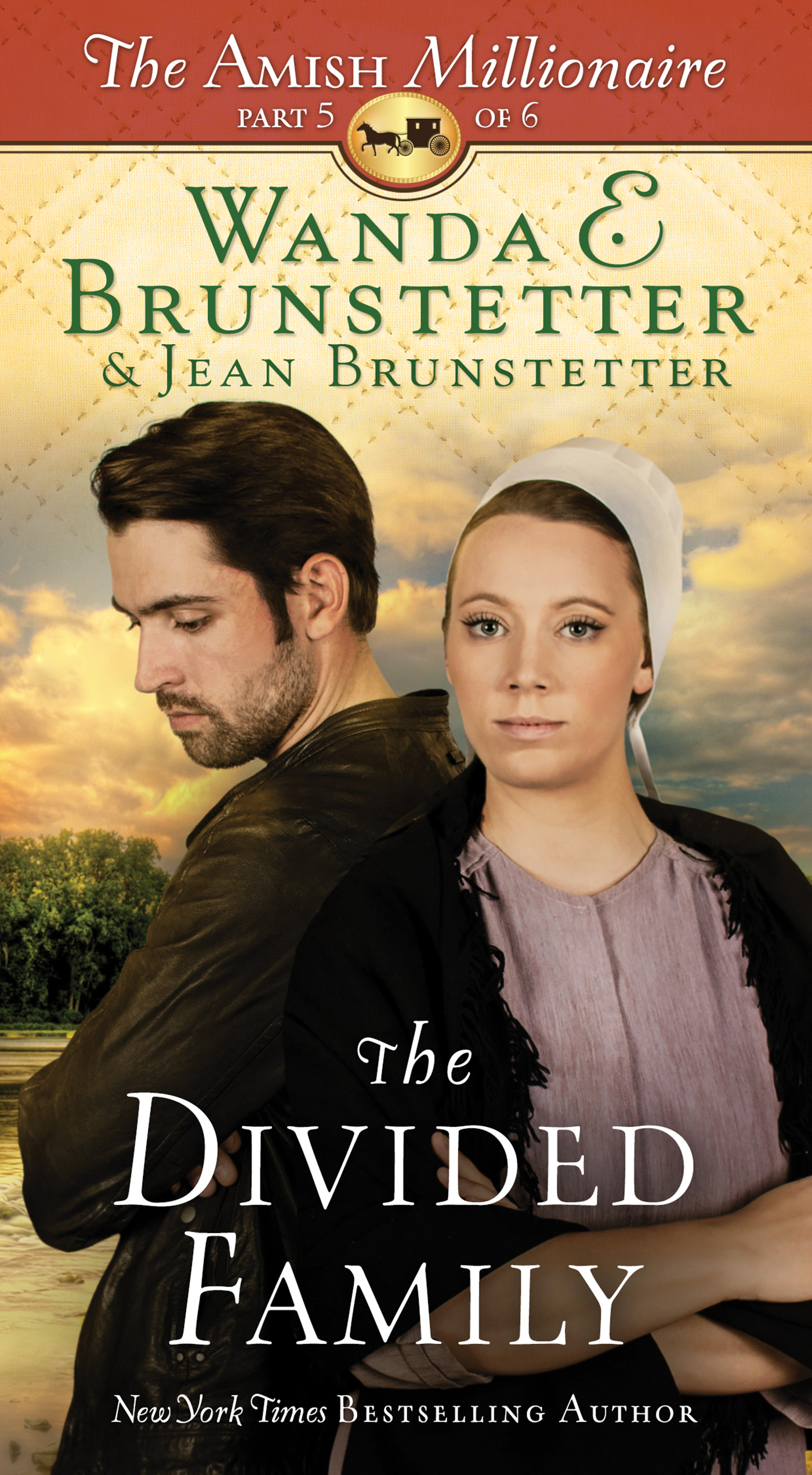 Cover image for The Divided Family [electronic resource] : The Amish Millionaire Part 5