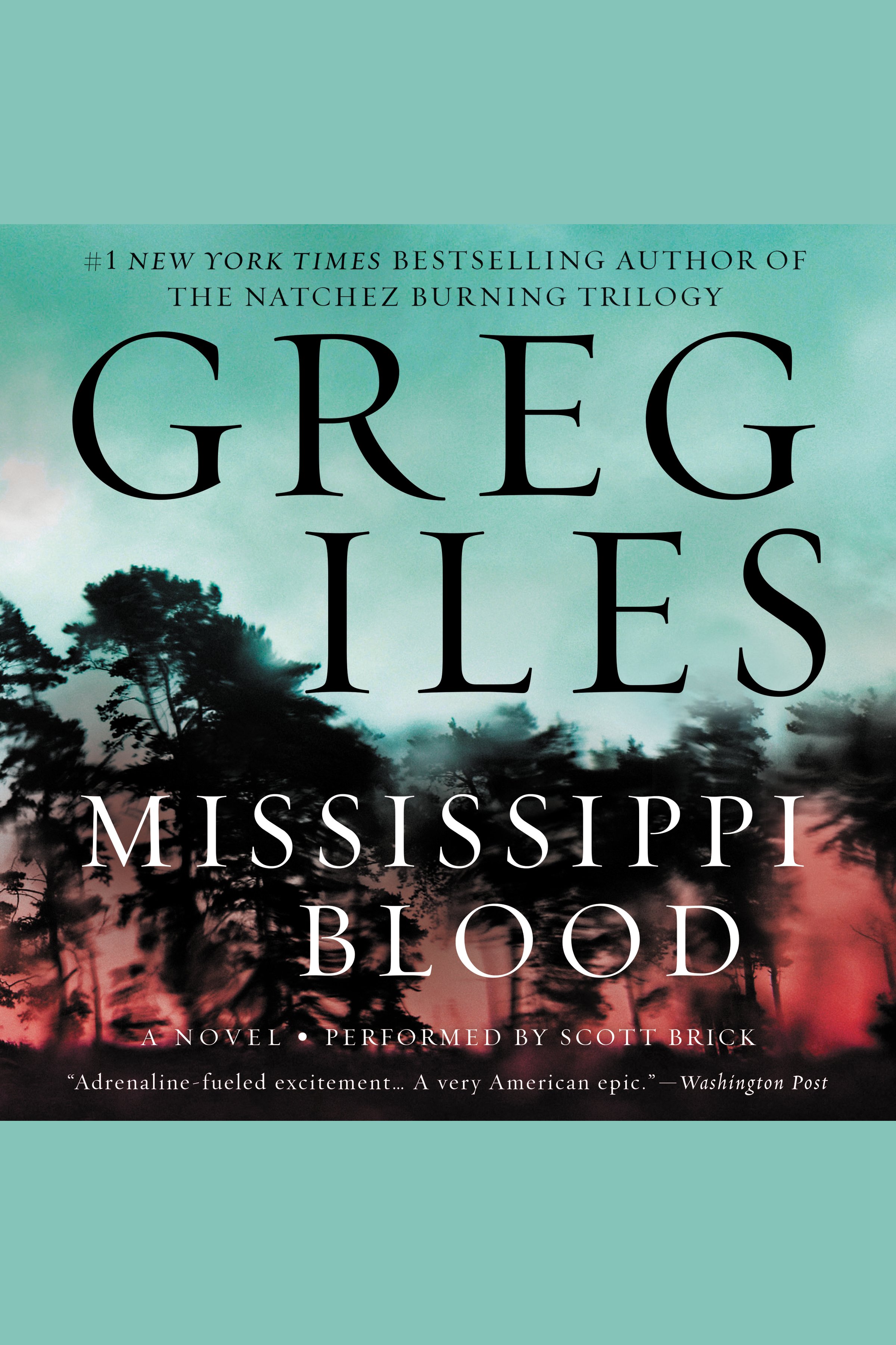 Cover image for Mississippi Blood [electronic resource] : A Novel