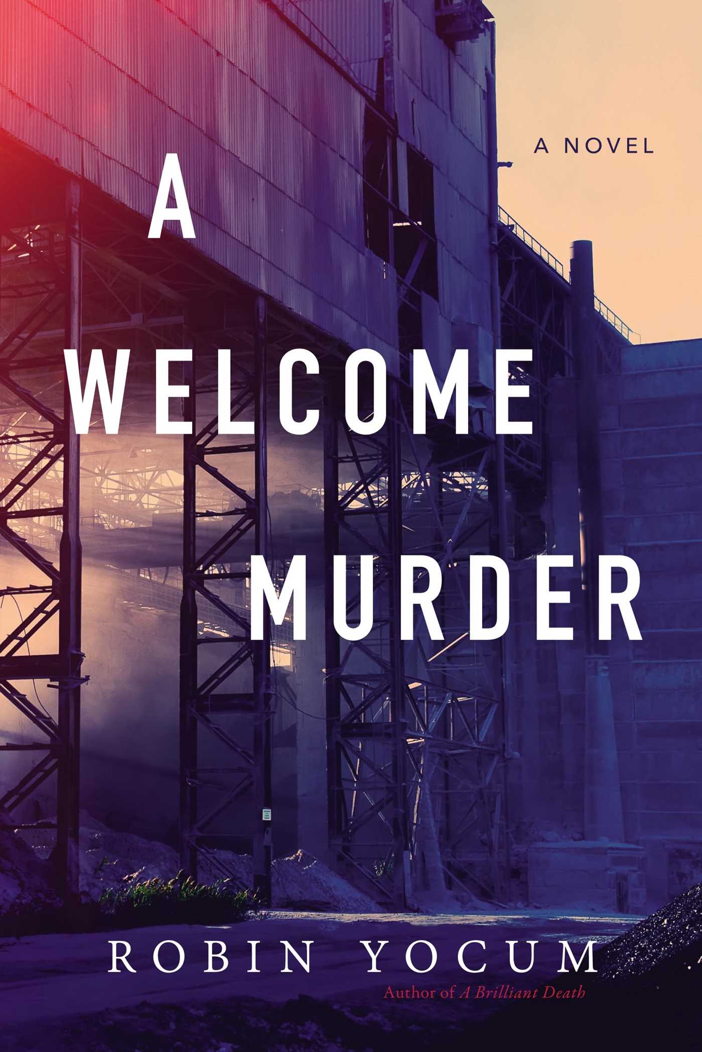 Cover image for A Welcome Murder [electronic resource] :