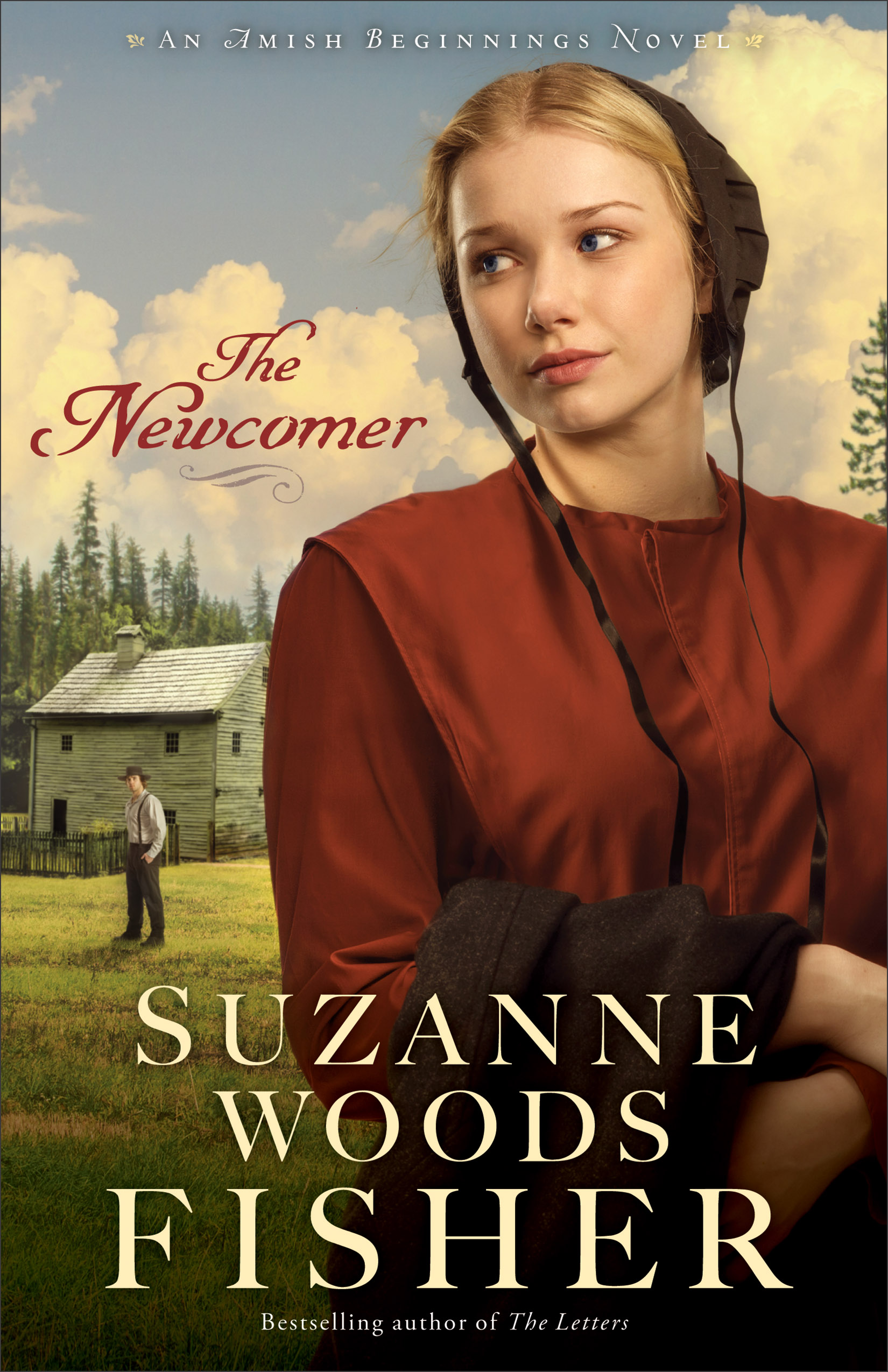 Cover image for The Newcomer (Amish Beginnings Book #2) [electronic resource] :