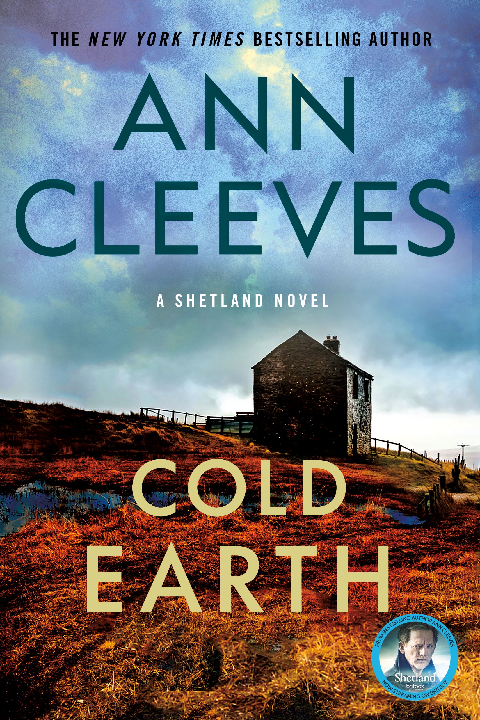 Cover image for Cold Earth [electronic resource] : A Shetland Mystery