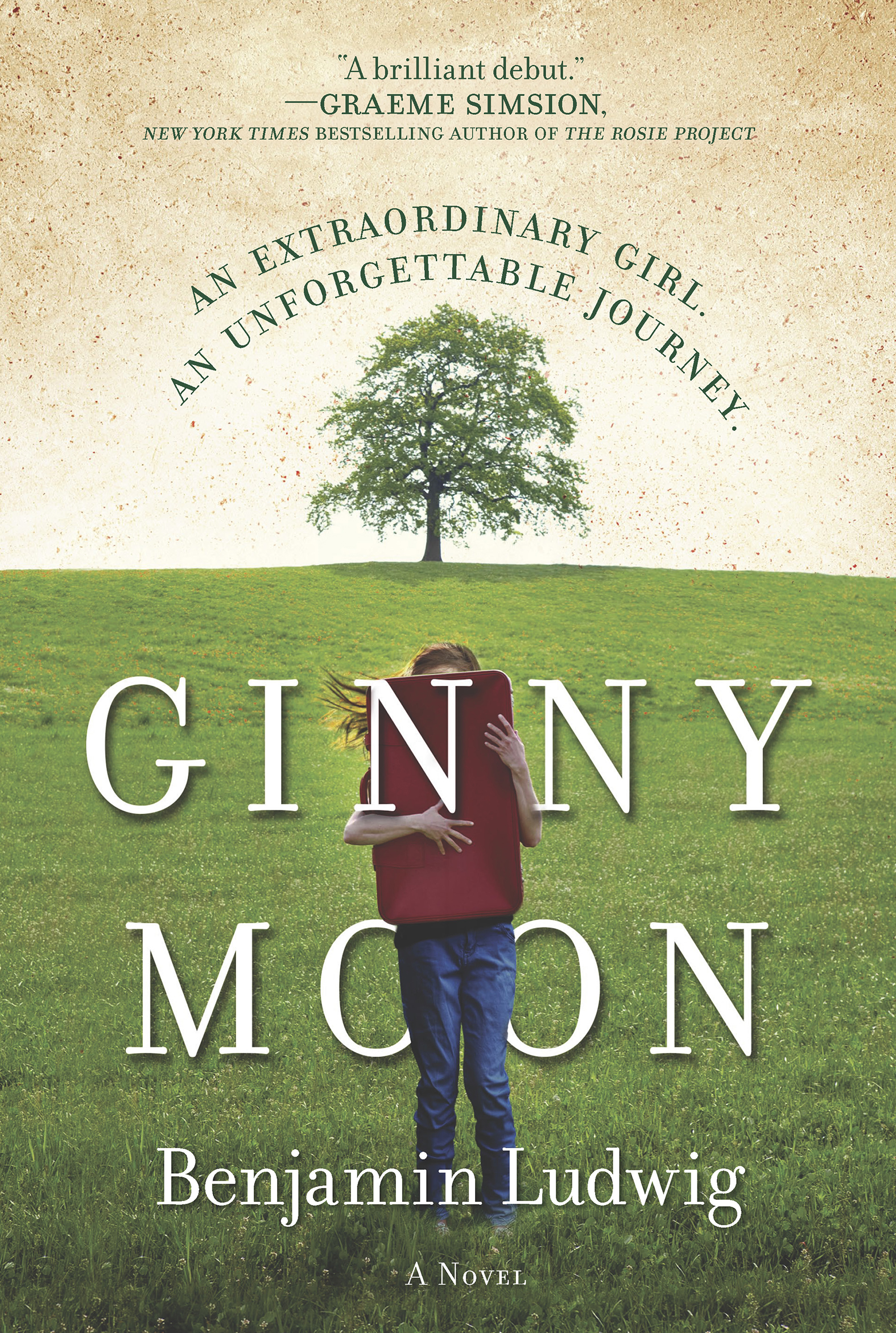 Cover image for Ginny Moon [electronic resource] : A Novel
