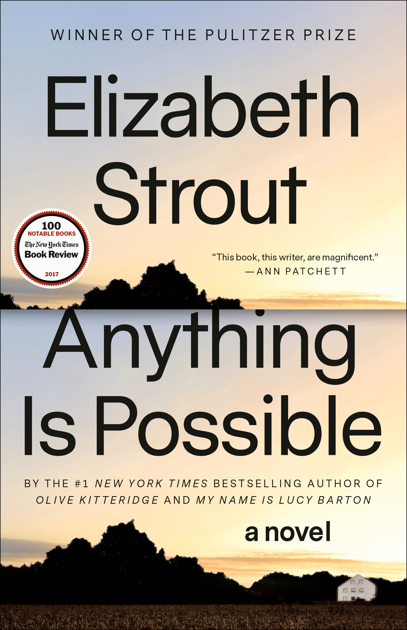 Cover image for Anything Is Possible [electronic resource] : A Novel