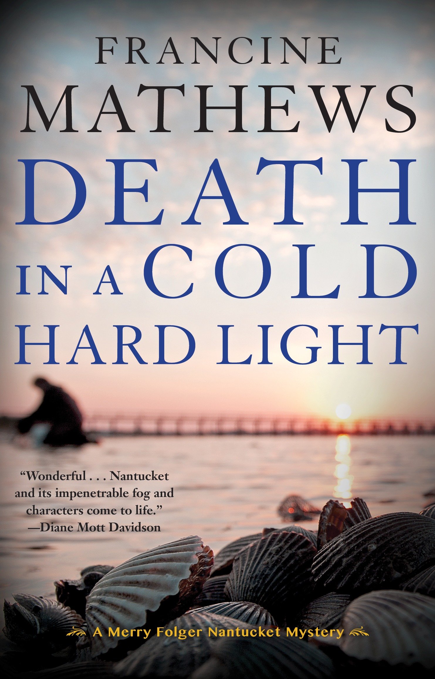 Cover image for Death in a Cold Hard Light [electronic resource] :