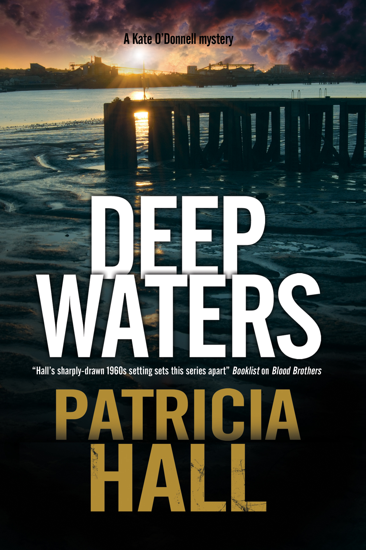 Cover image for Deep Waters [electronic resource] :