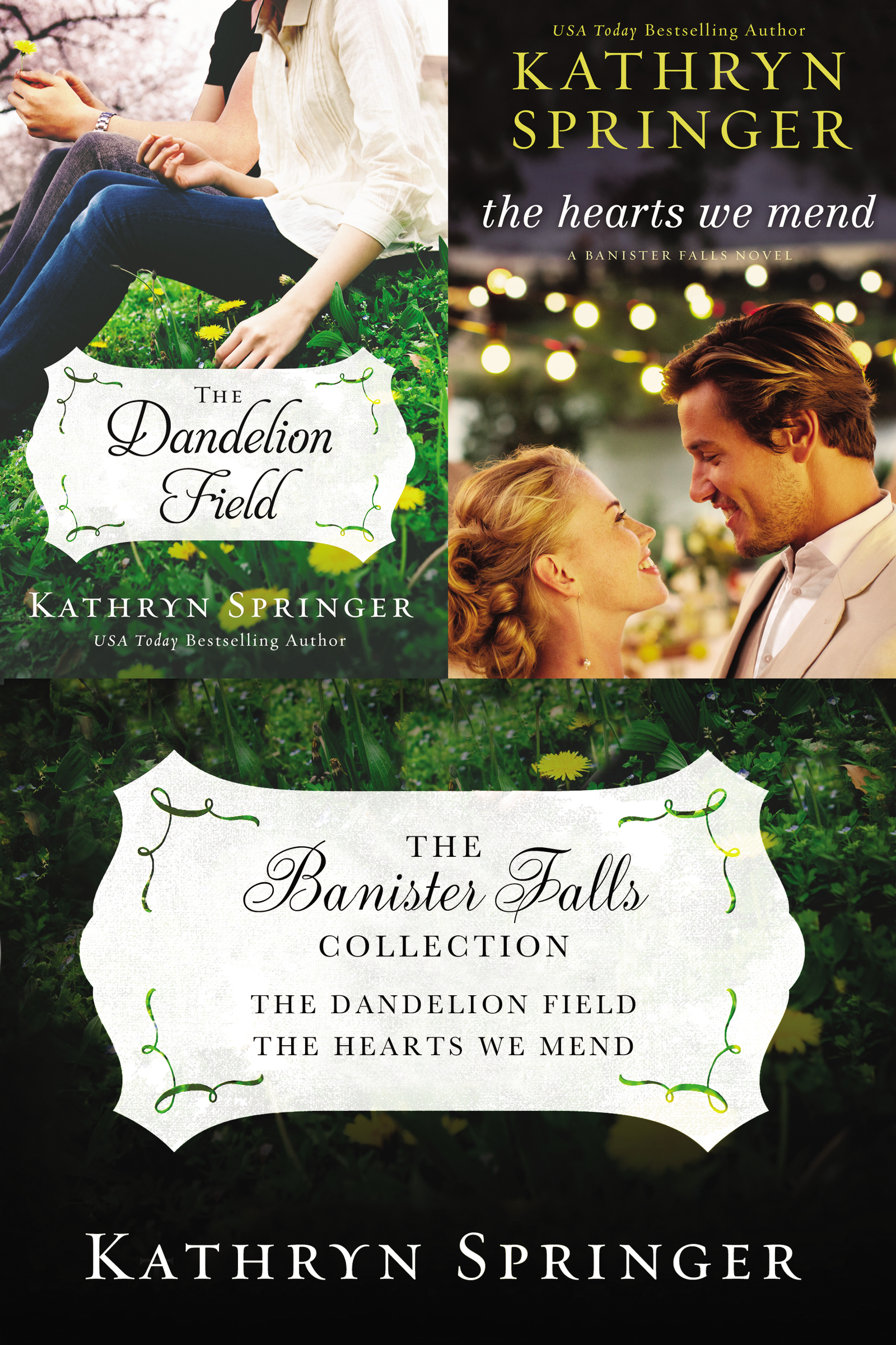 Cover image for The Banister Falls Collection [electronic resource] : The Dandelion Field and The Hearts We Mend