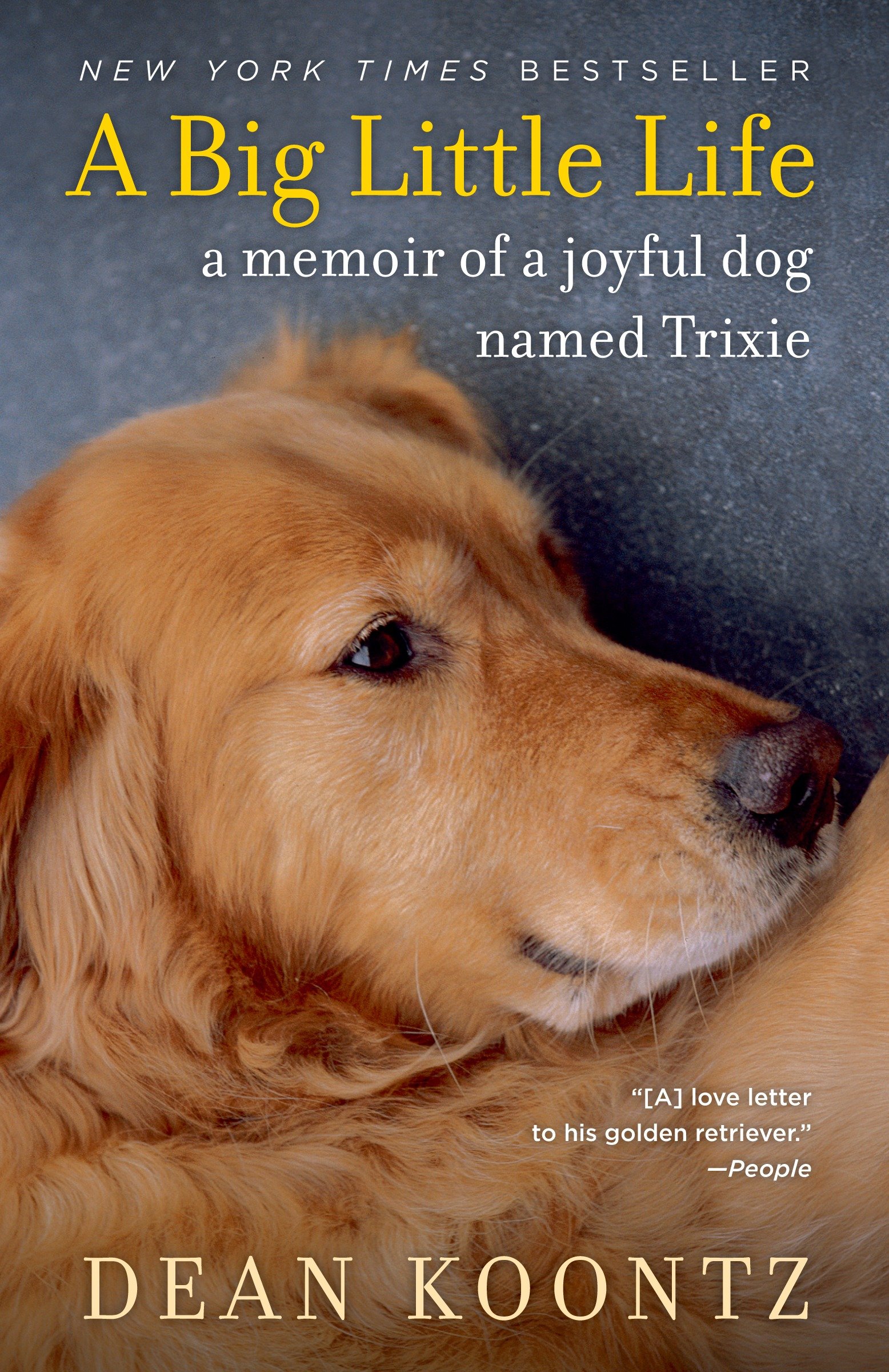 Umschlagbild für A Big Little Life [electronic resource] : A Memoir of a Joyful Dog Named Trixie