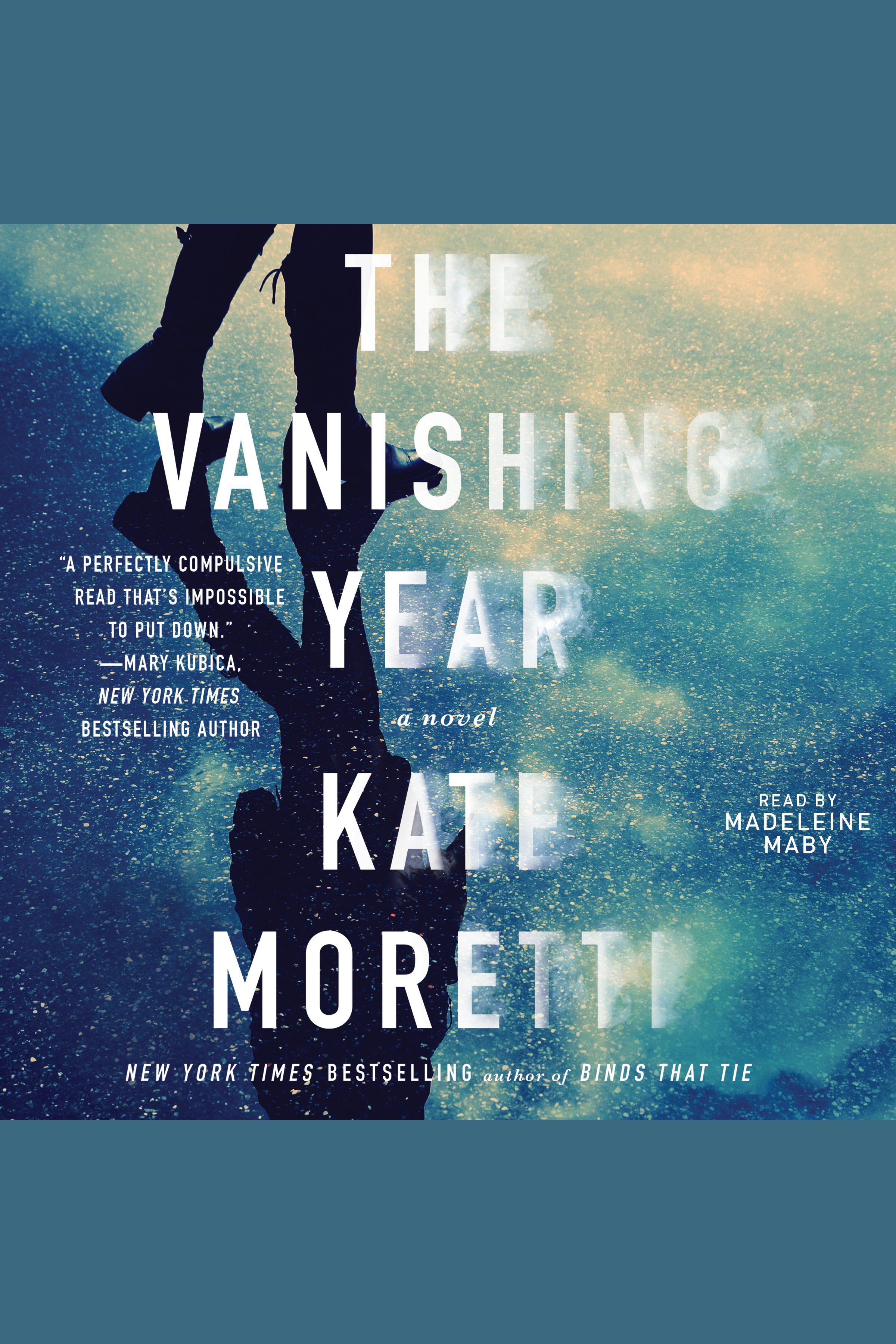 Cover image for The Vanishing Year [electronic resource] :