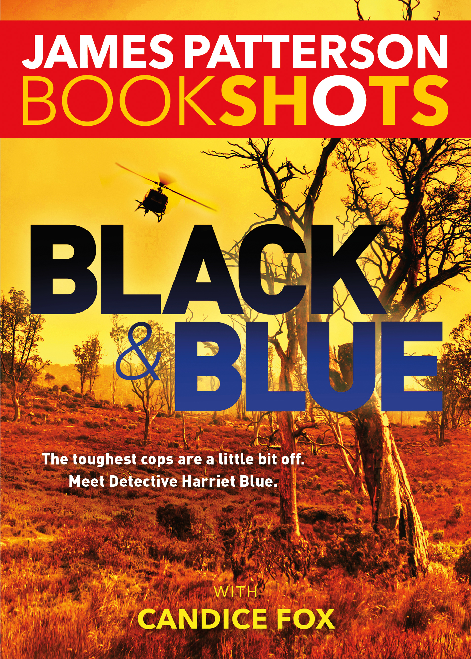 Cover image for Black & Blue [electronic resource] :