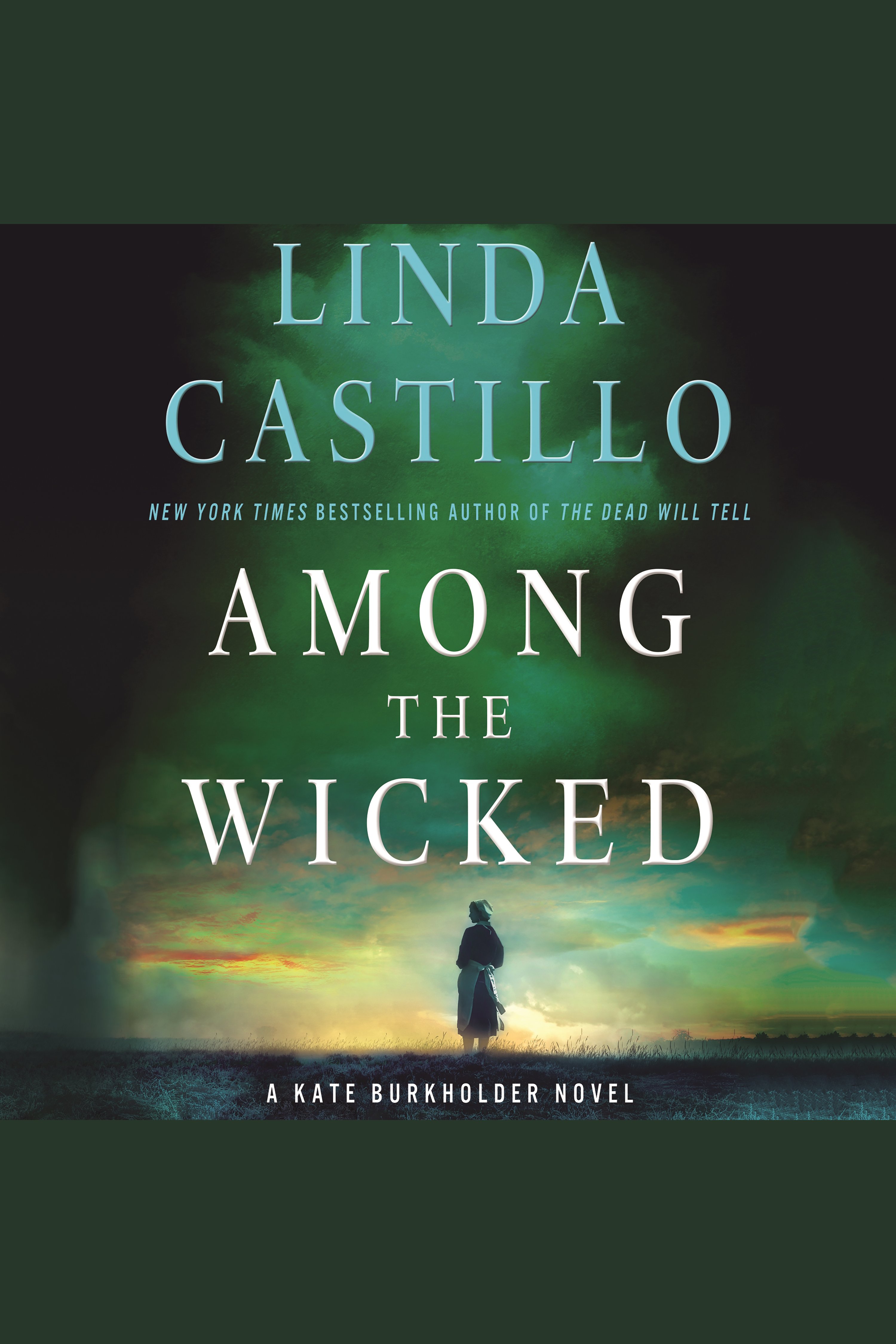 Image de couverture de Among the Wicked [electronic resource] : A Kate Burkholder Novel