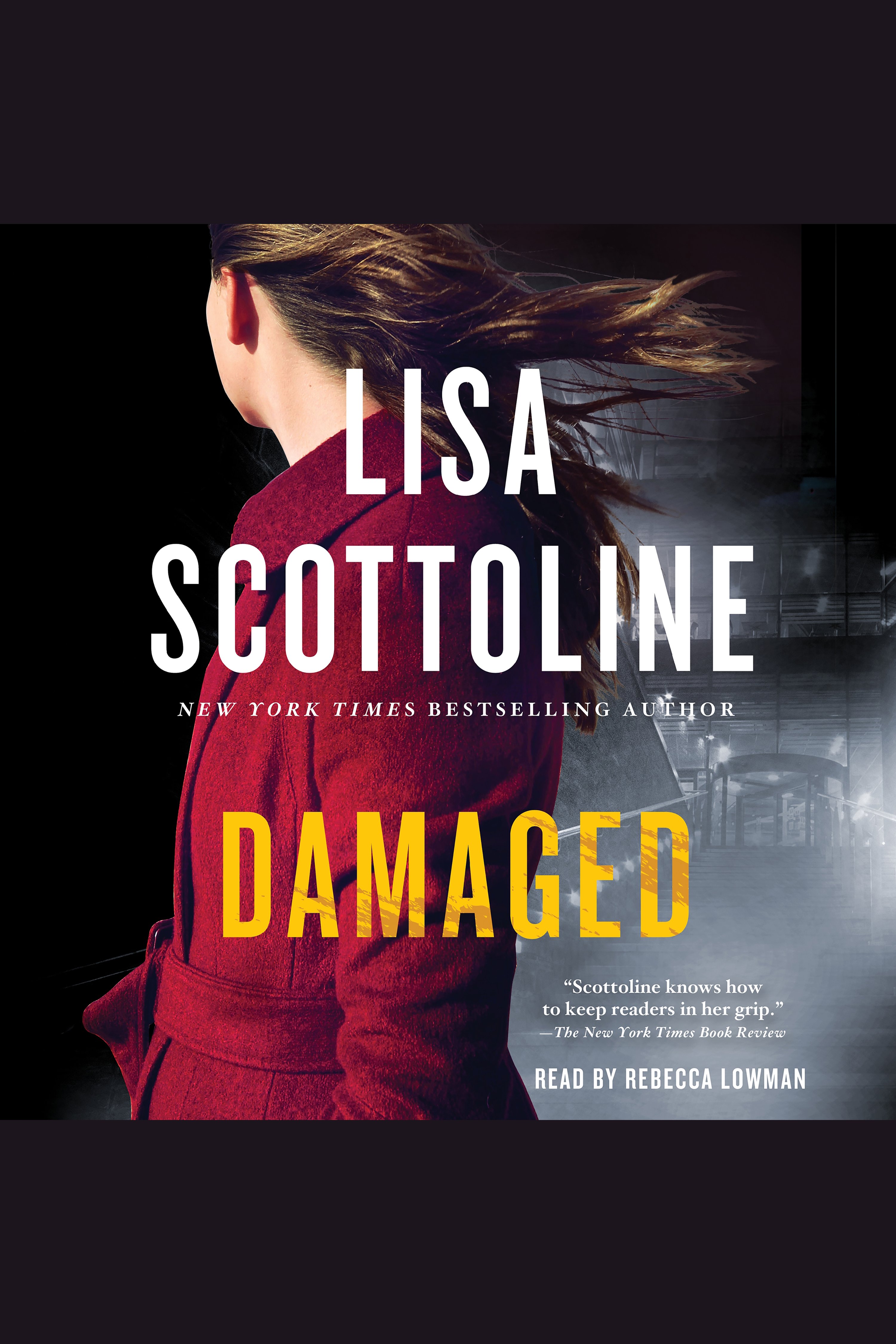 Cover image for Damaged [electronic resource] : A Novel