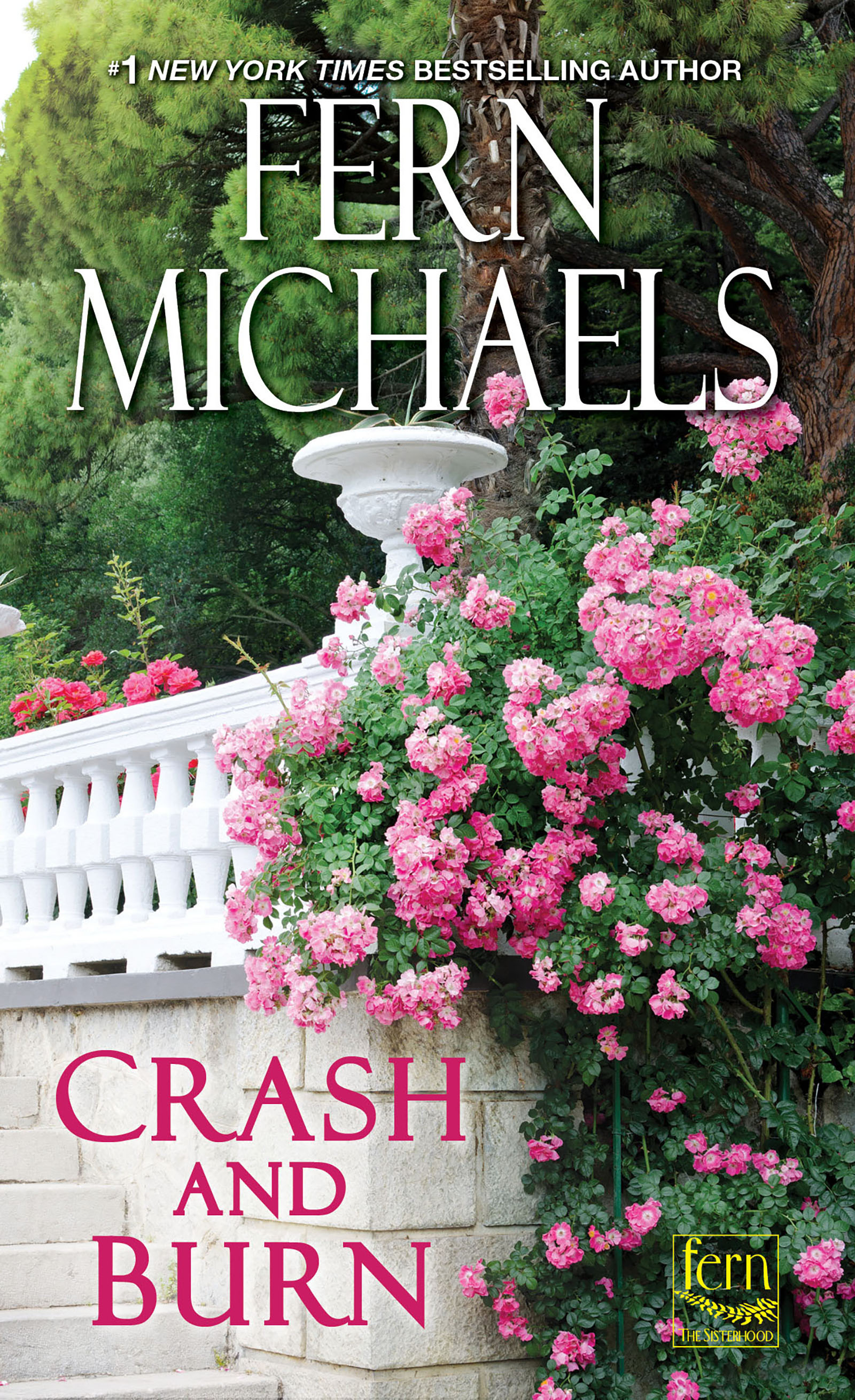 Cover image for Crash and Burn [electronic resource] :