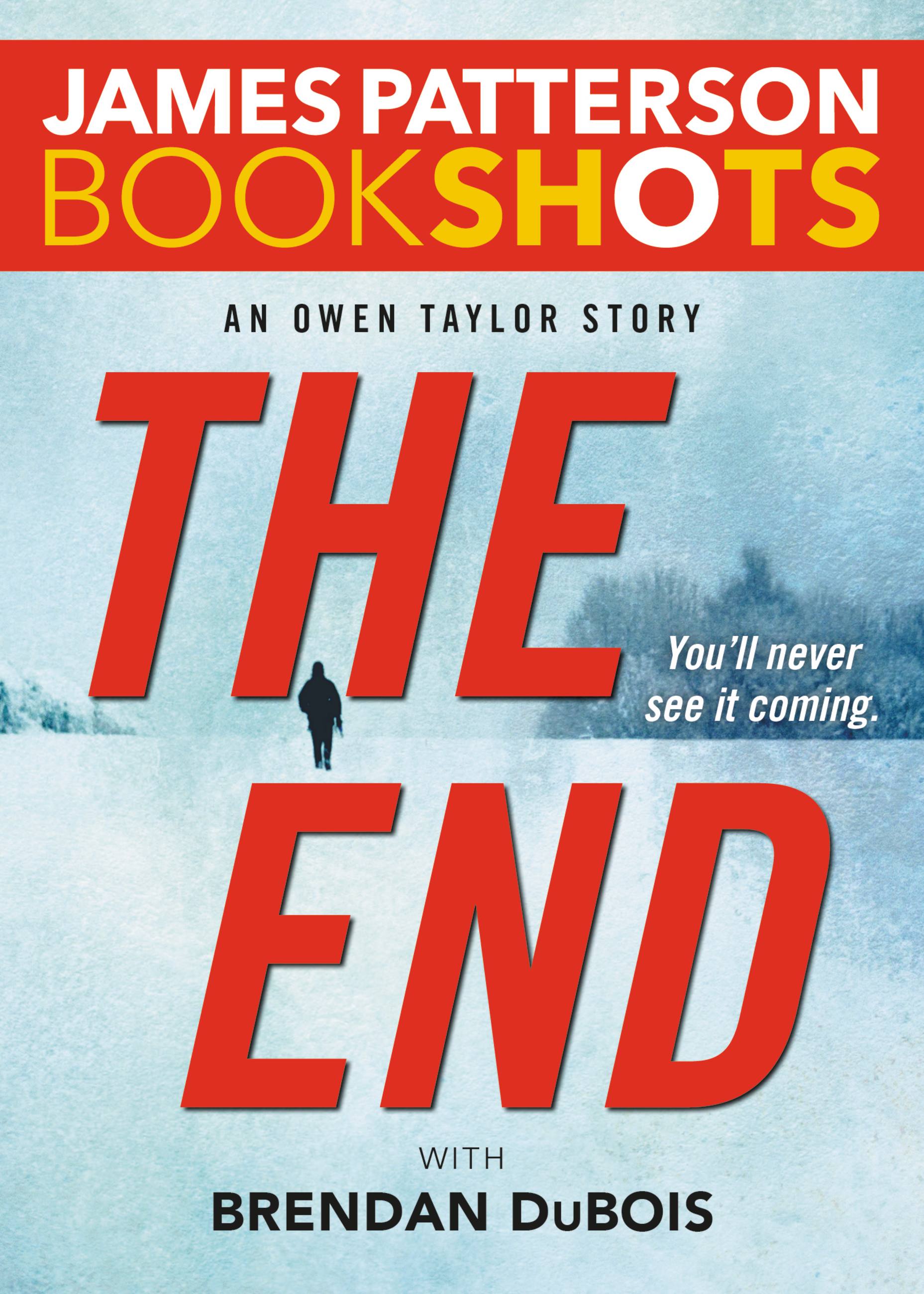Umschlagbild für The End [electronic resource] : An Owen Taylor Story