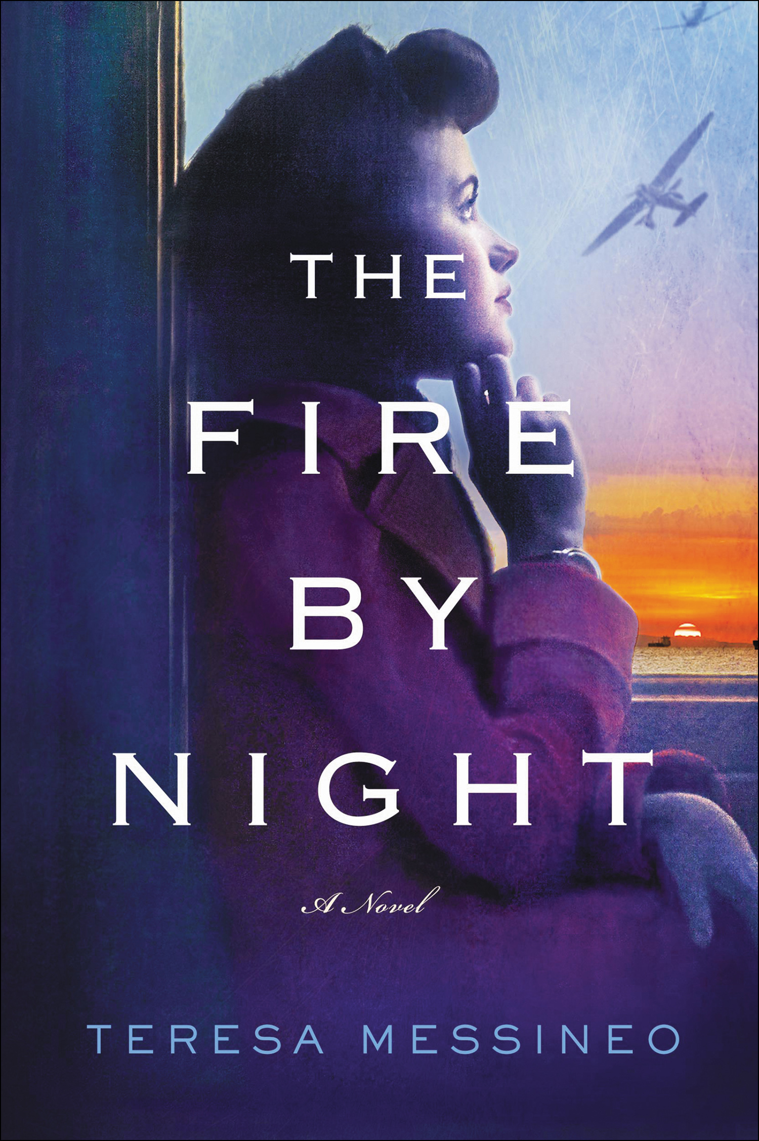 Cover image for The Fire by Night [electronic resource] : A Novel