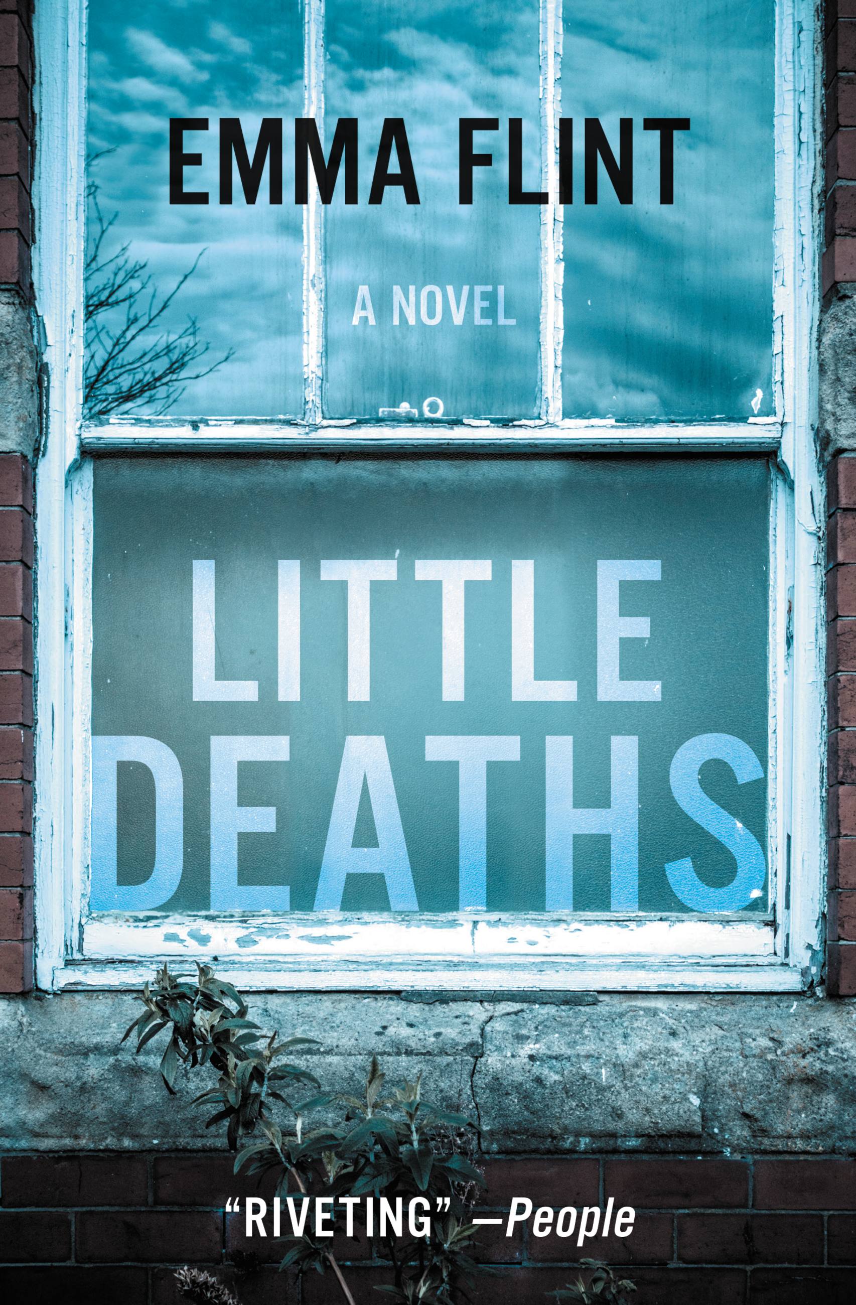 Umschlagbild für Little Deaths [electronic resource] : A Novel