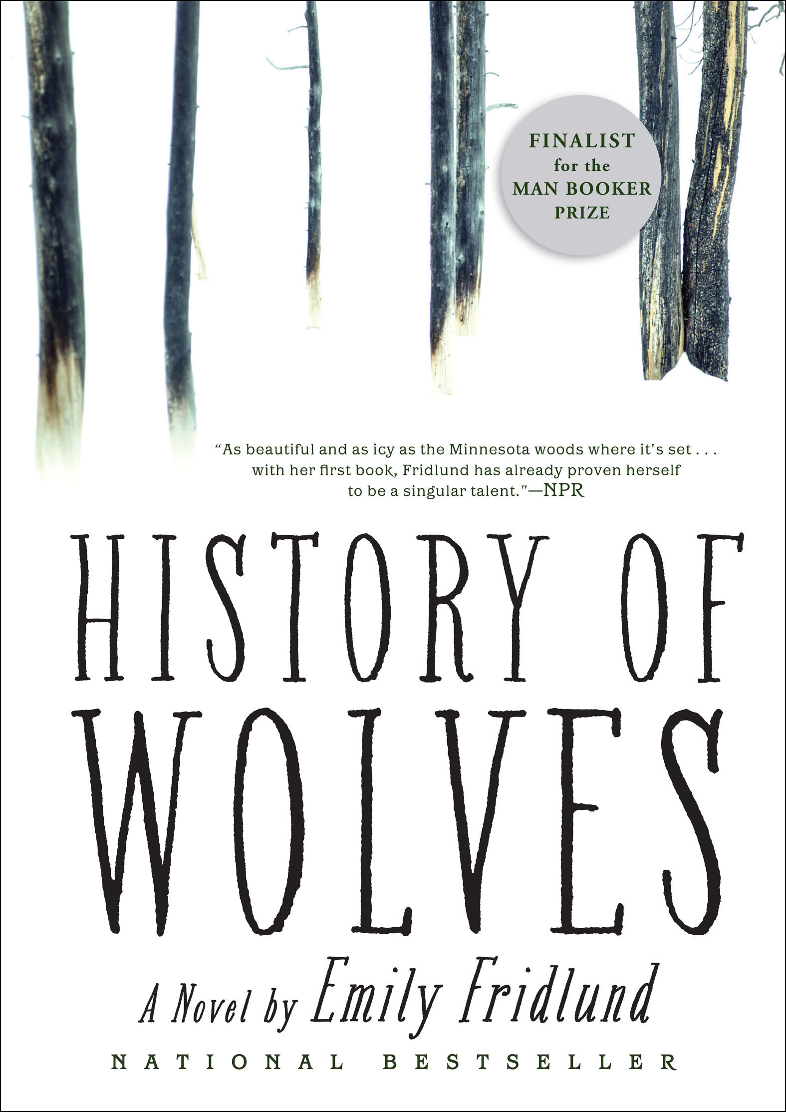 Imagen de portada para History of Wolves [electronic resource] : A Novel