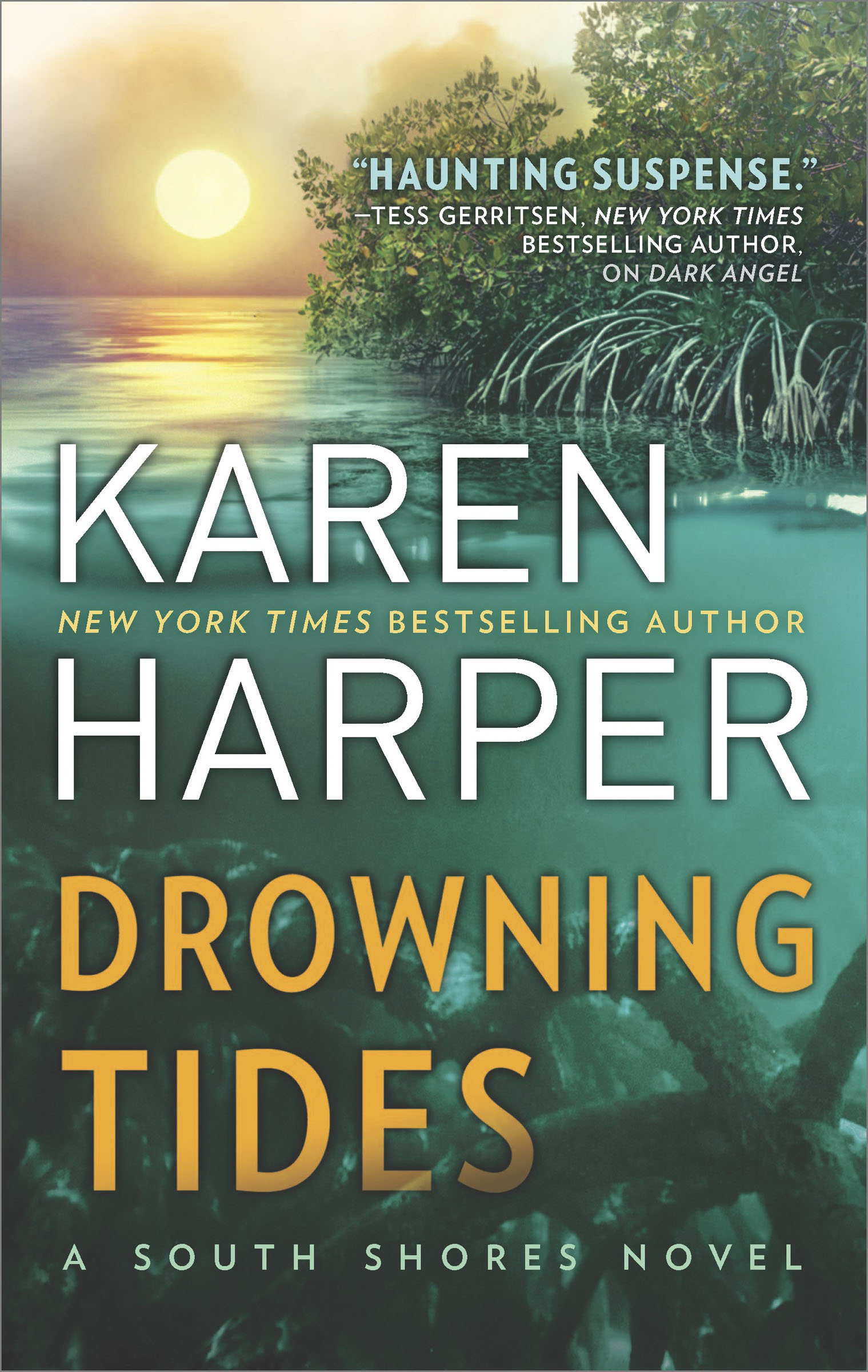 Cover image for Drowning Tides [electronic resource] :