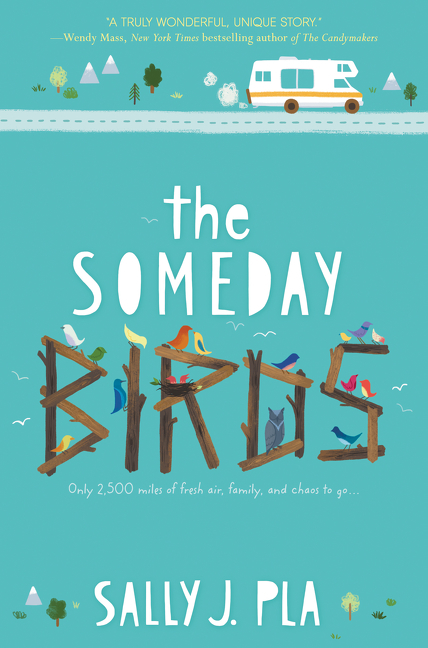 The someday birds cover image