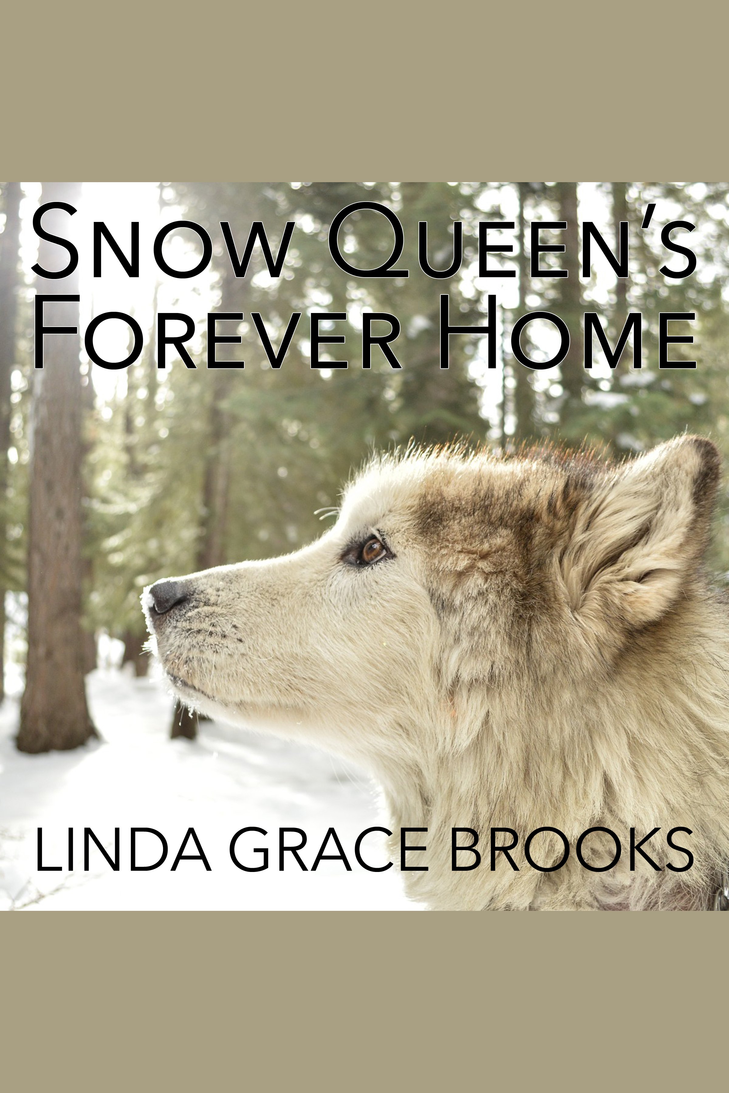 Snow Queen's Forever Home cover image