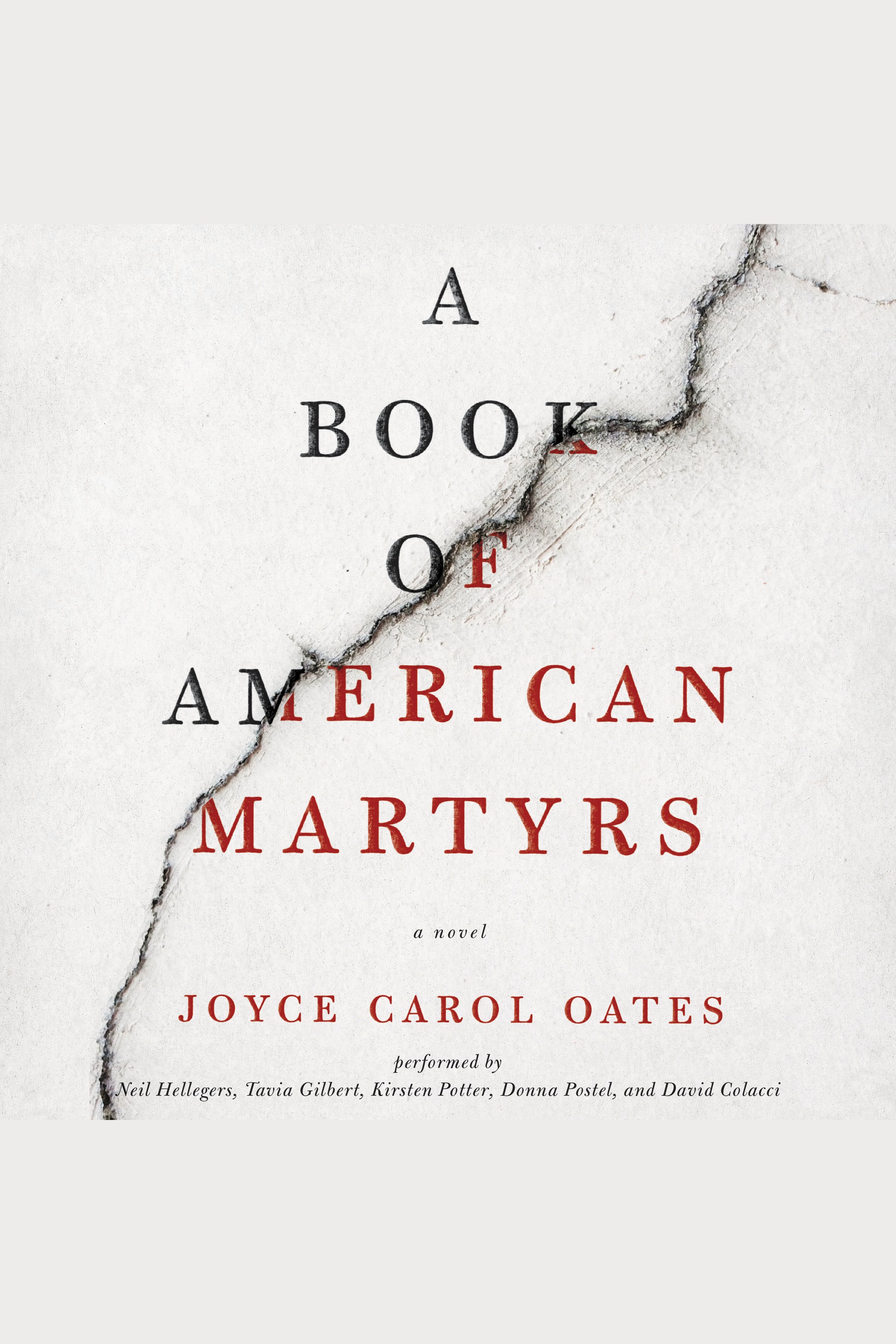 Image de couverture de Book of American Martyrs, A [electronic resource] : A Novel