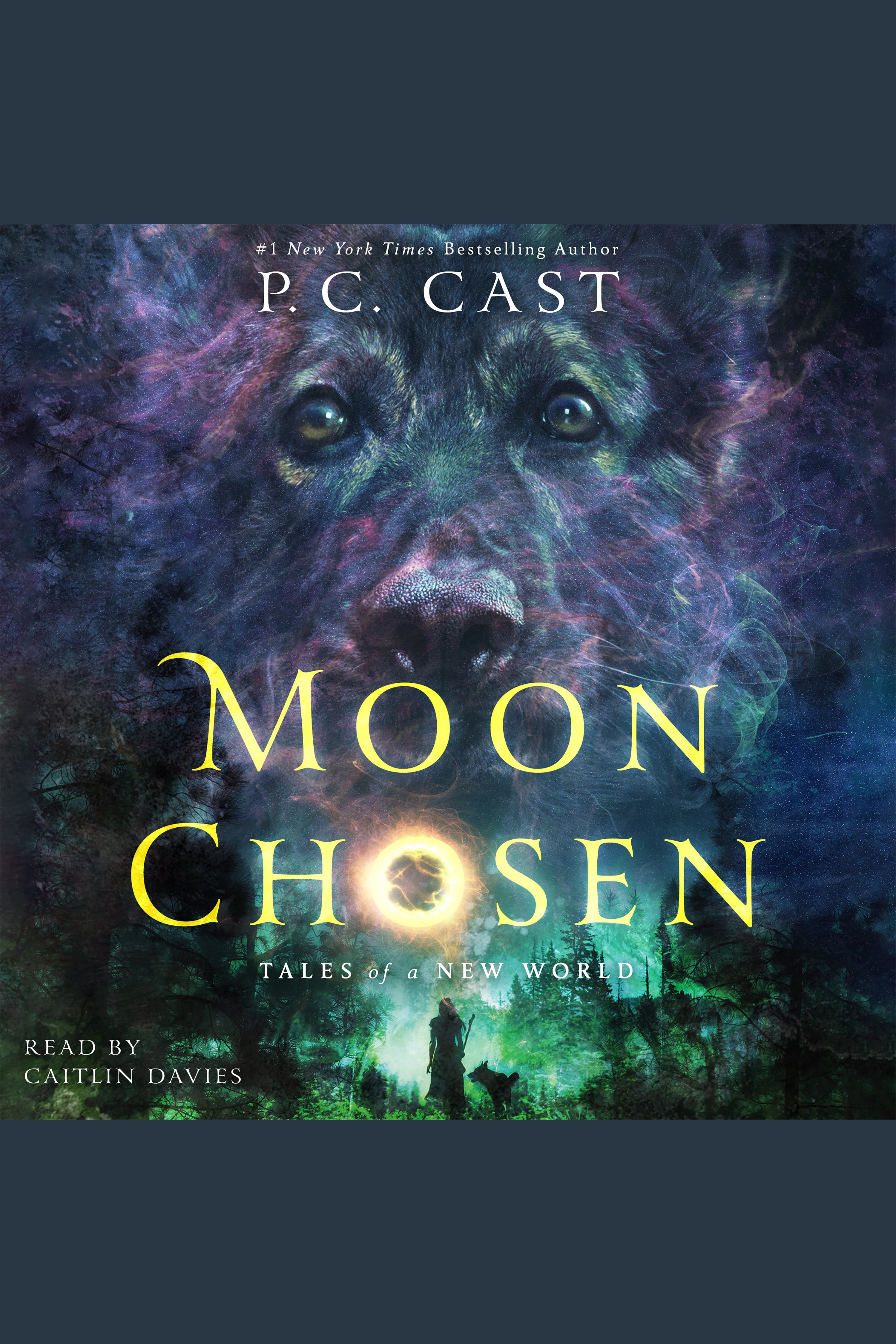 Cover image for Moon Chosen [electronic resource] : Tales of a New World
