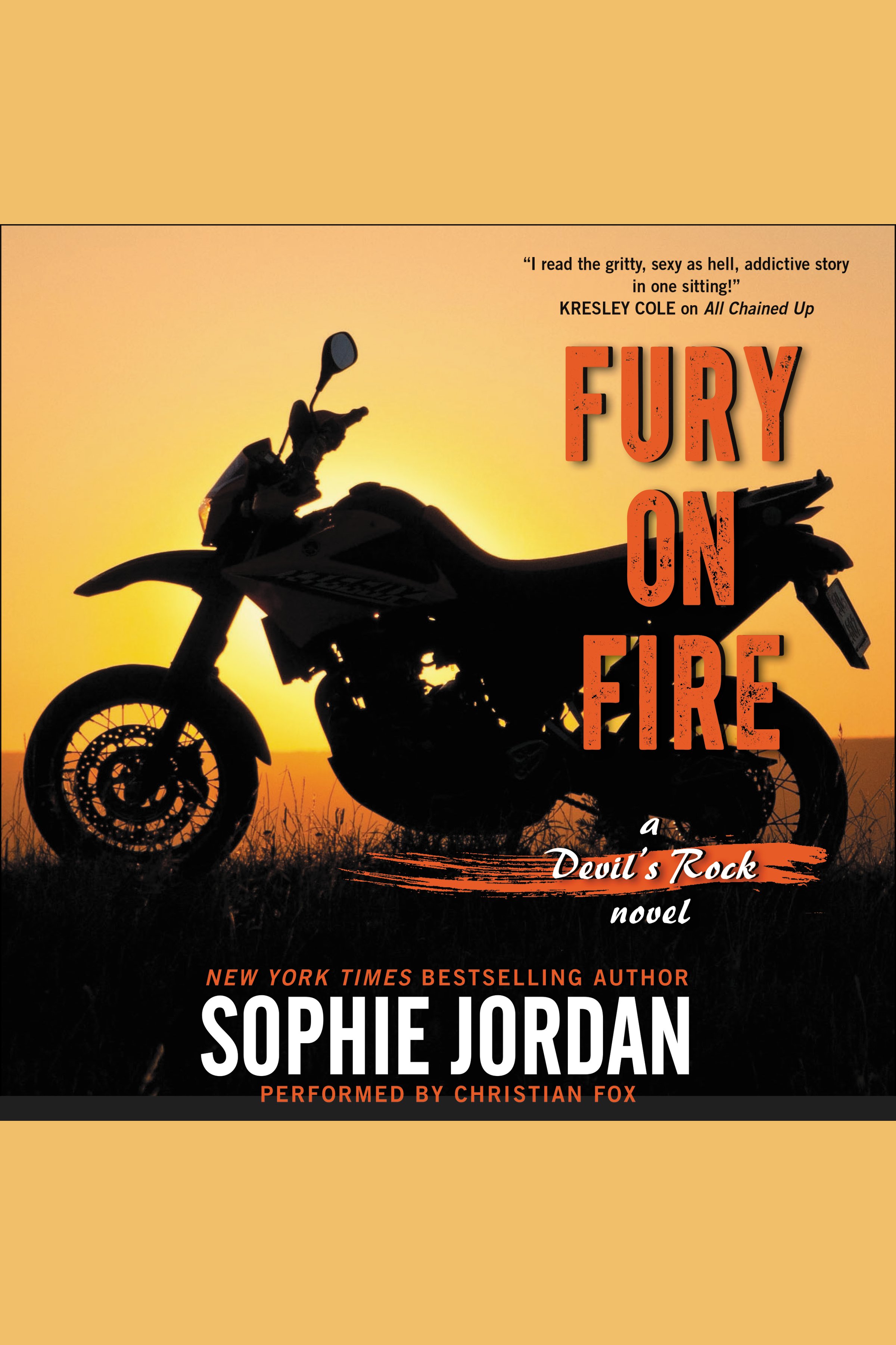 Fury on Fire A Devil's Rock Novel cover image