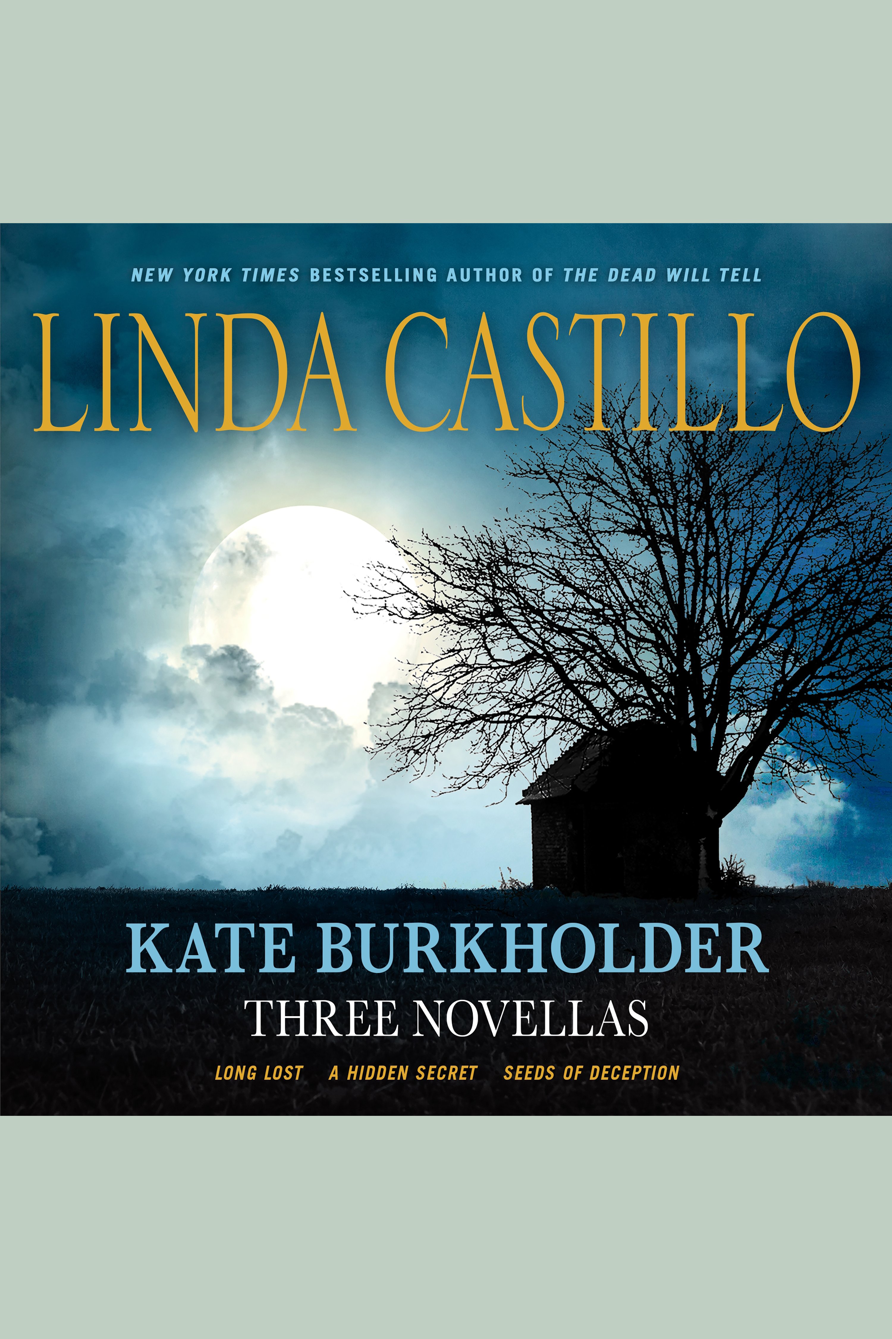 Cover image for Kate Burkholder: Three Novellas [electronic resource] :