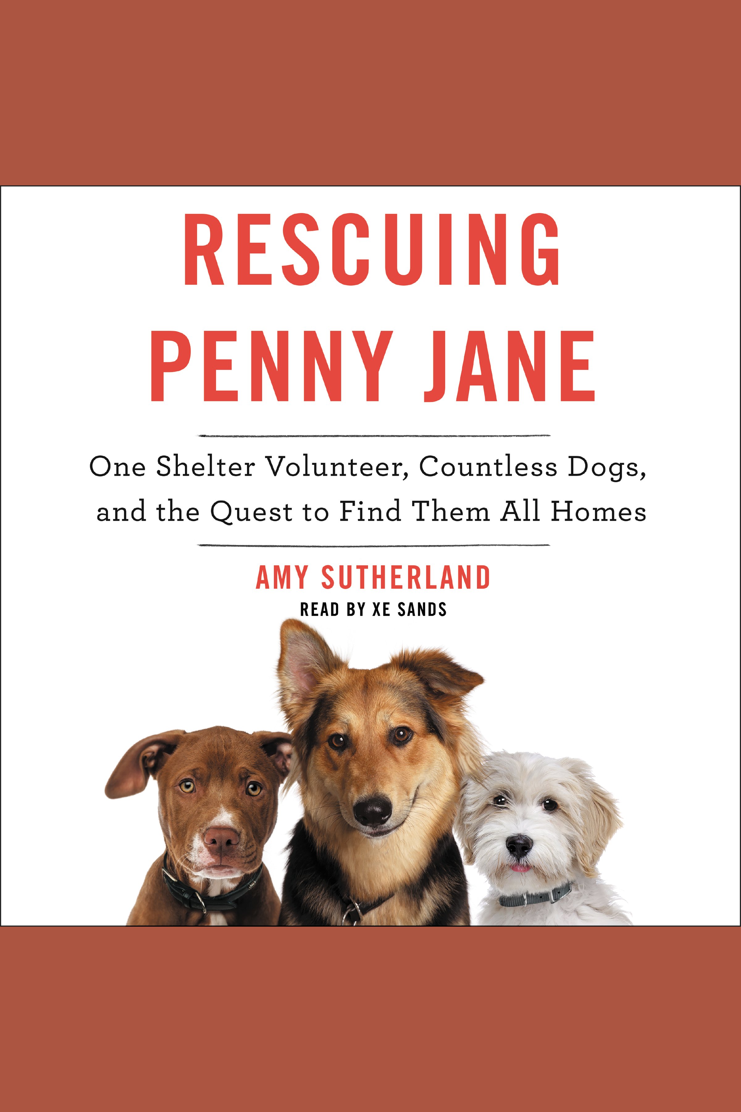 Rescuing Penny Jane One Shelter Volunteer, Countless Dogs, and the Quest to Find Them All Homes cover image