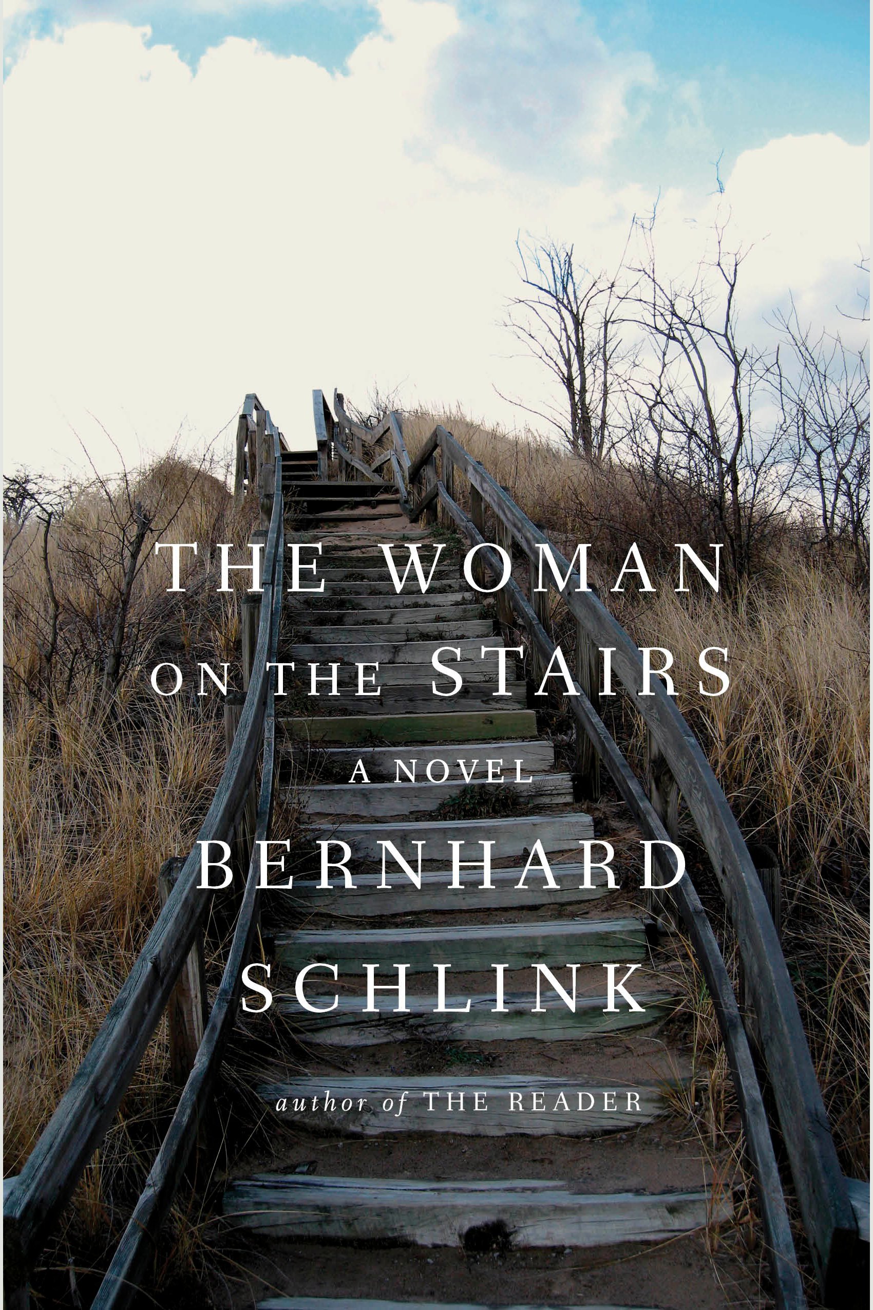 Cover image for The Woman on the Stairs [electronic resource] :
