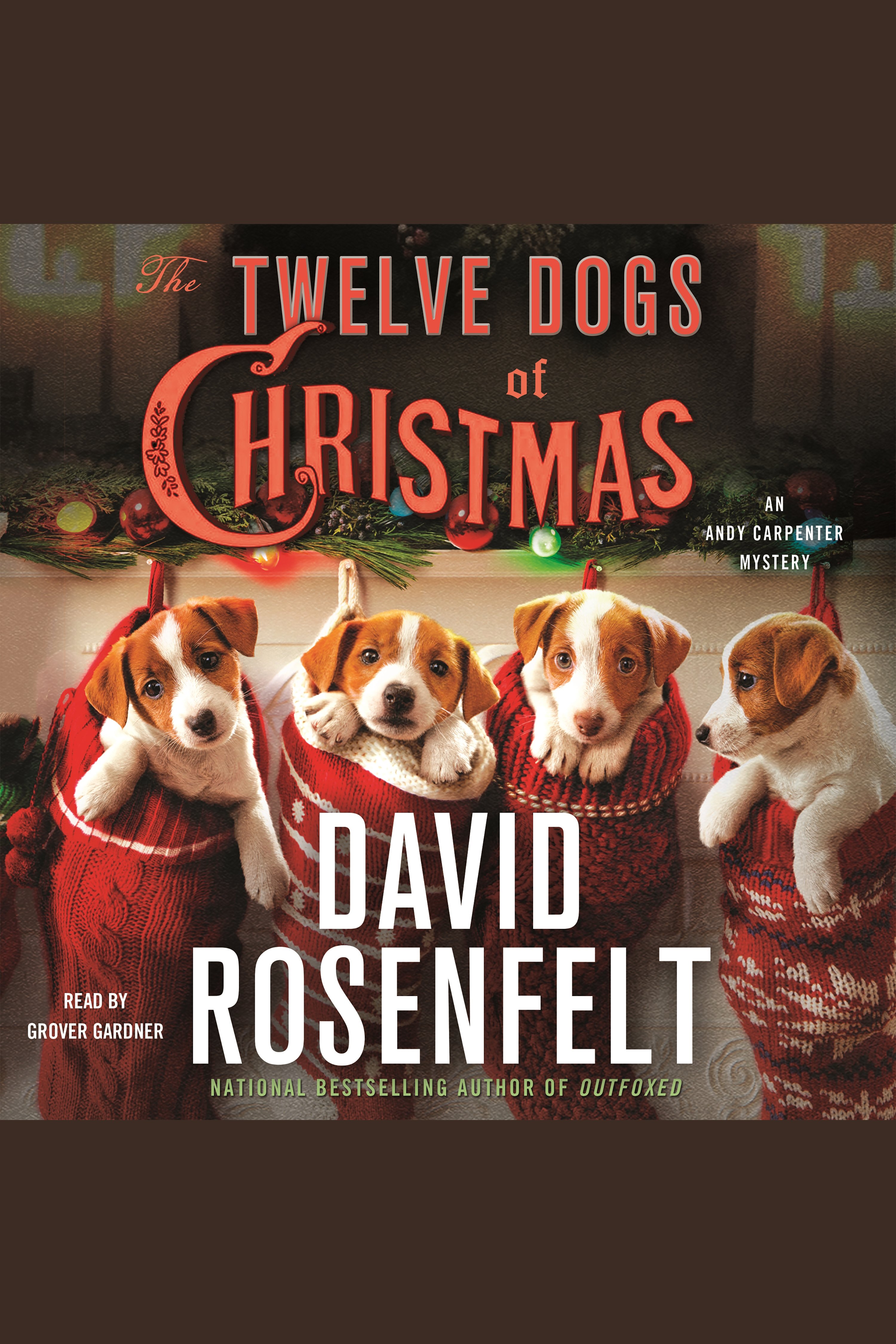 Umschlagbild für The Twelve Dogs of Christmas [electronic resource] :