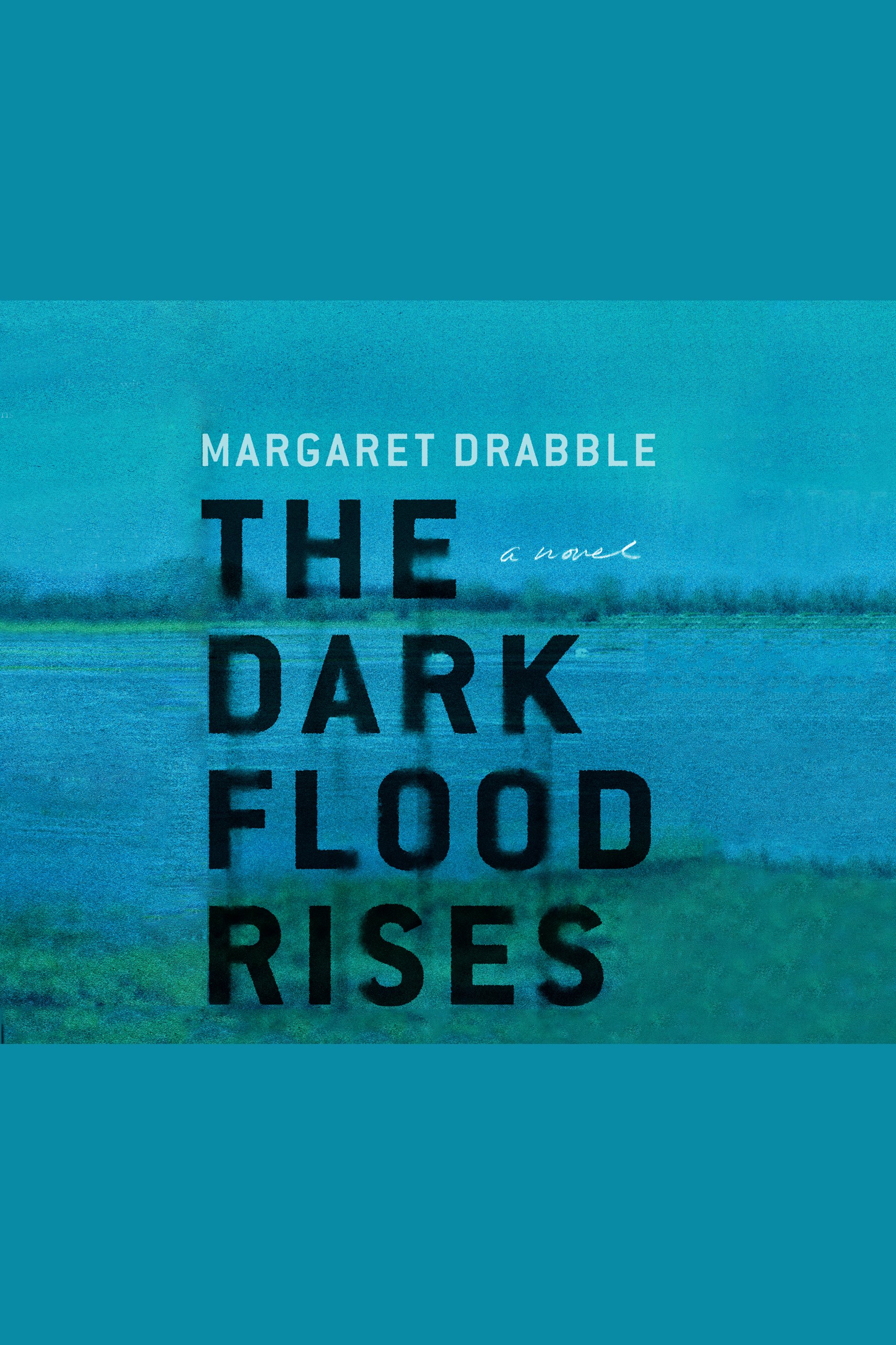 Cover image for The Dark Flood Rises [electronic resource] :