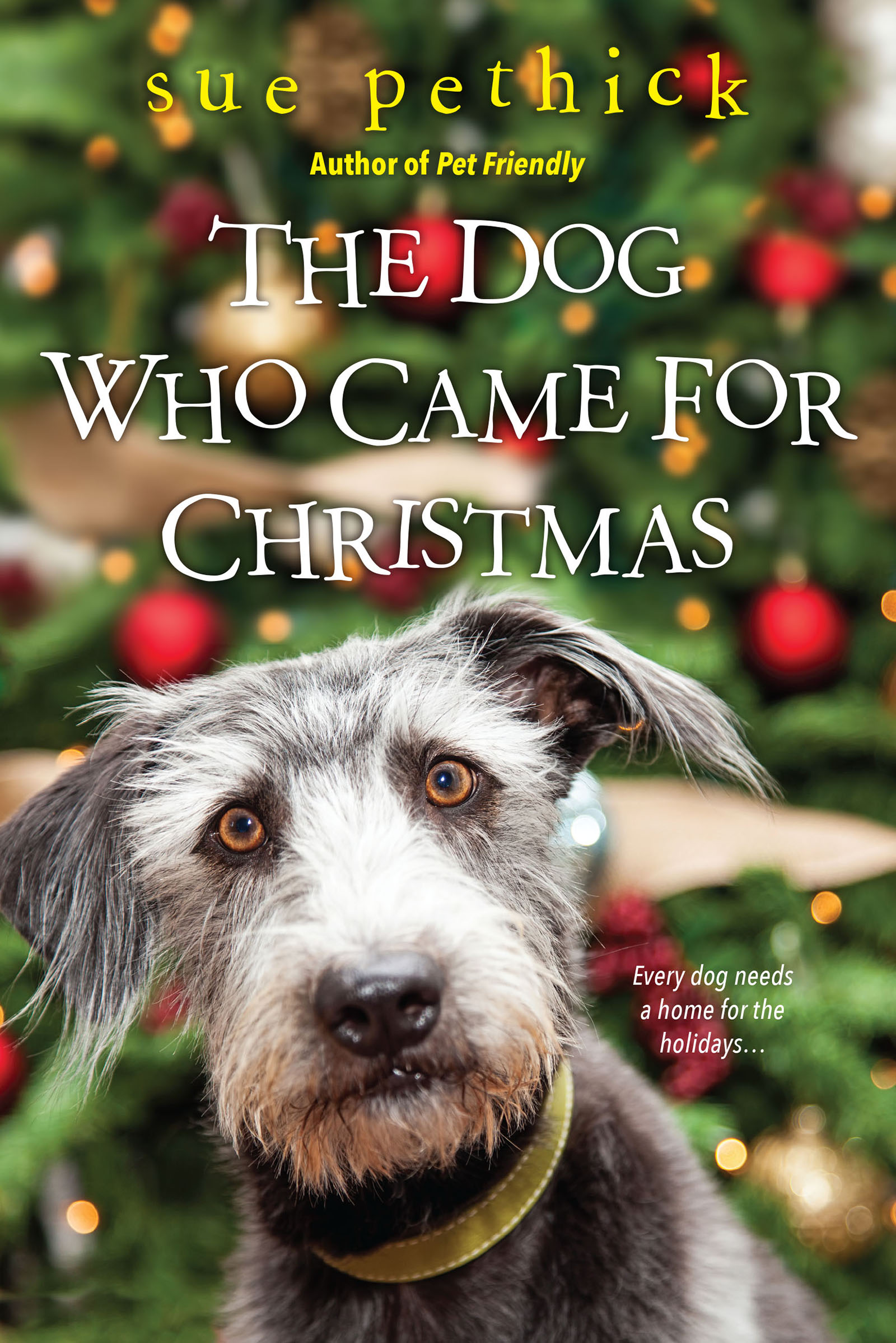 Cover image for The Dog Who Came for Christmas [electronic resource] :