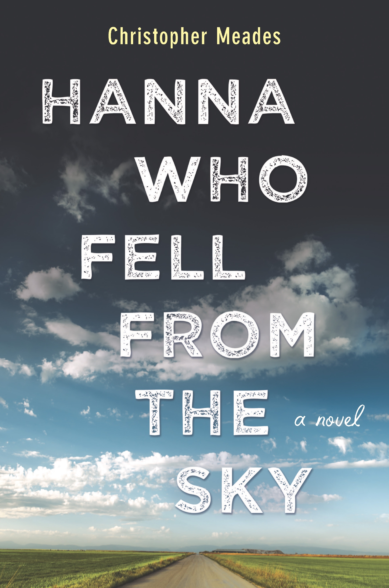 Cover image for Hanna Who Fell from the Sky [electronic resource] : A Novel