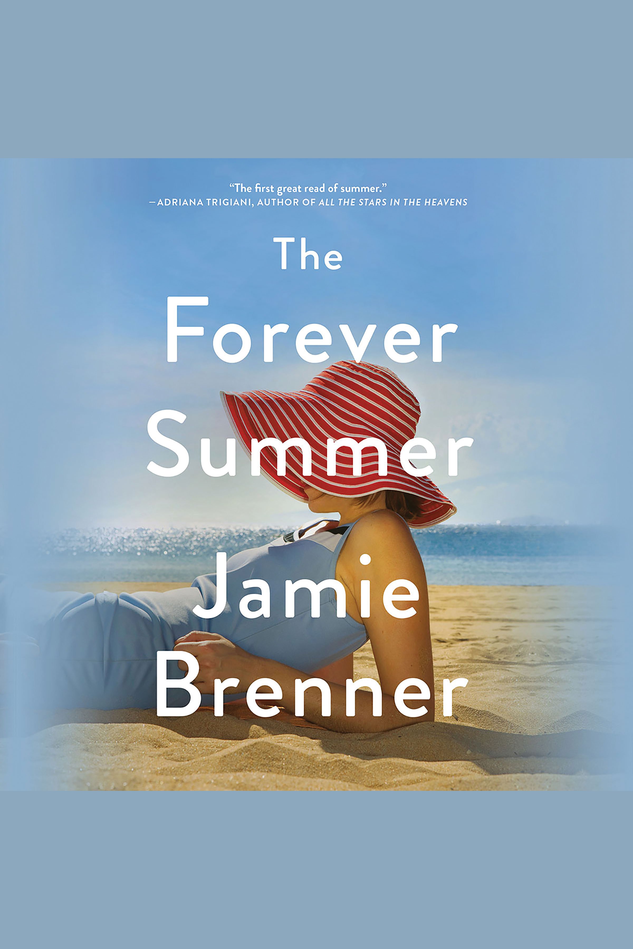 The forever summer cover image