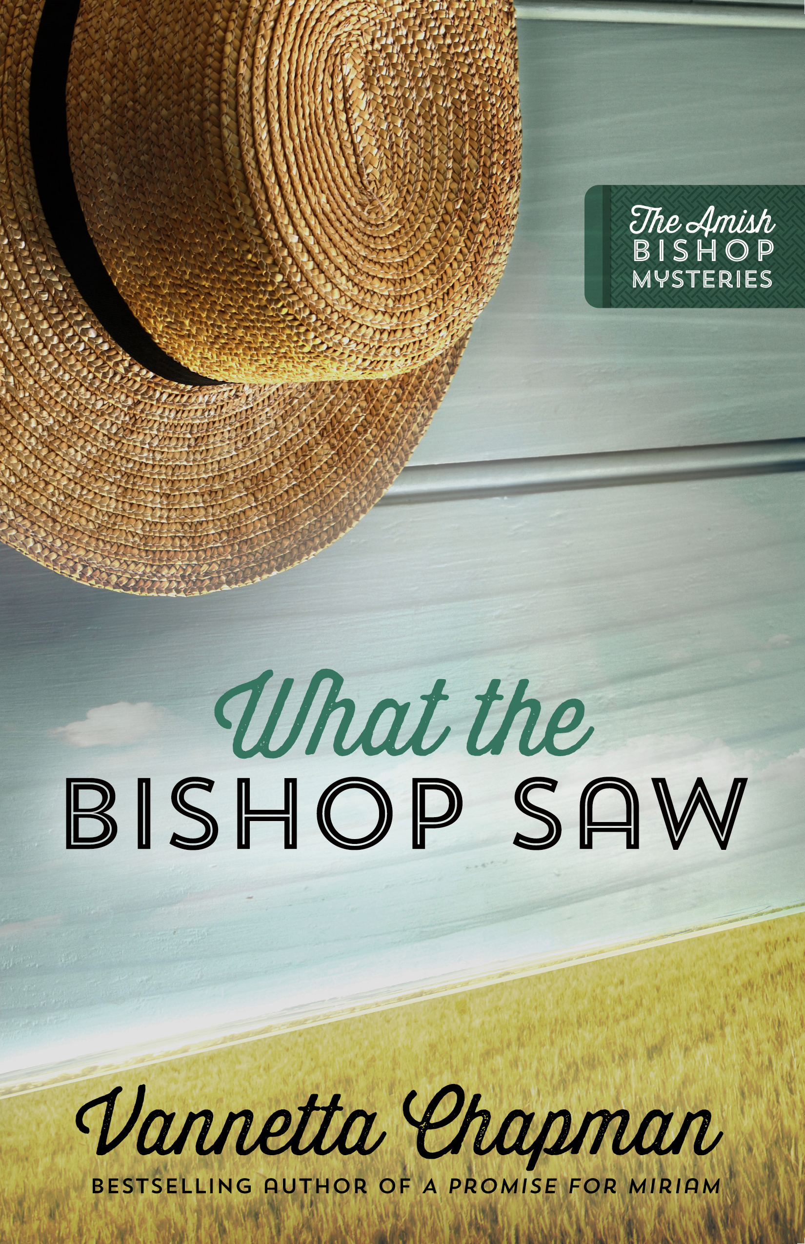 Cover image for What the Bishop Saw [electronic resource] :