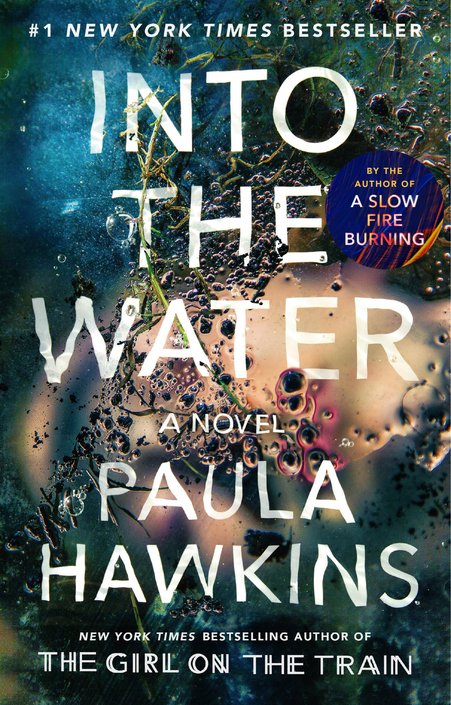 Cover image for Into the Water [electronic resource] : A Novel