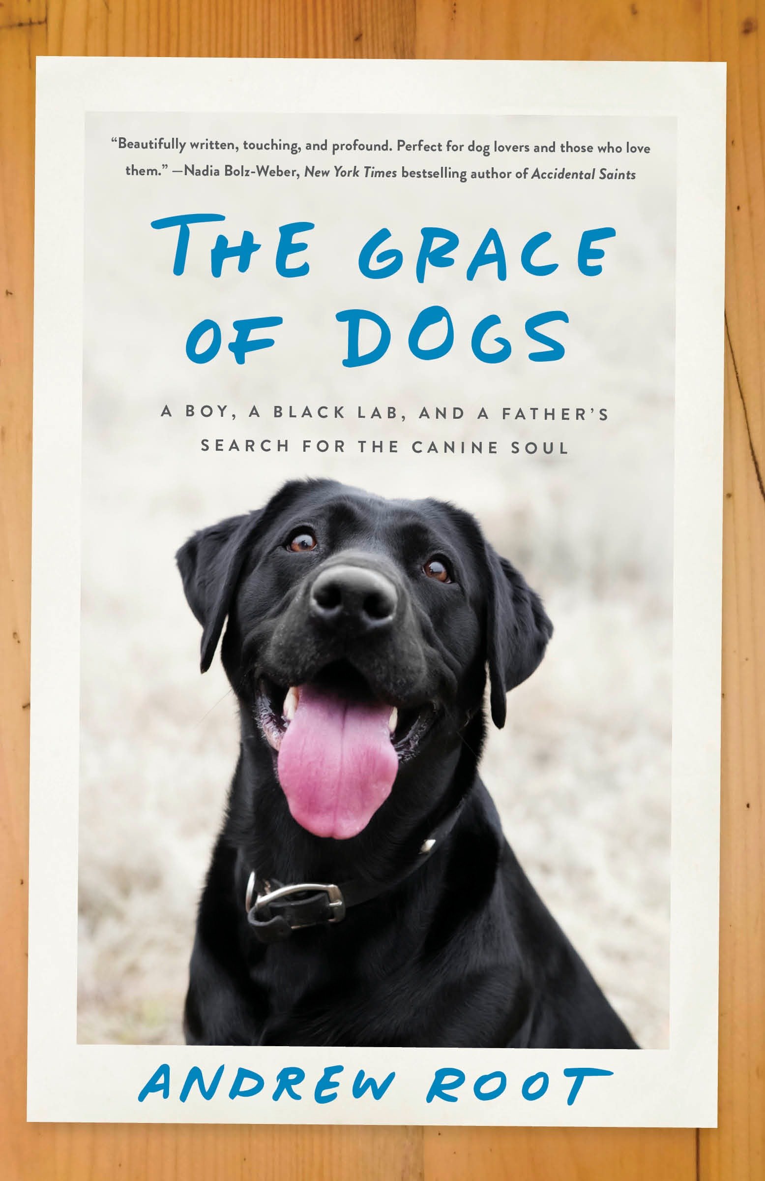 The grace of dogs a boy, a black Lab, and a father's search for the canine soul cover image