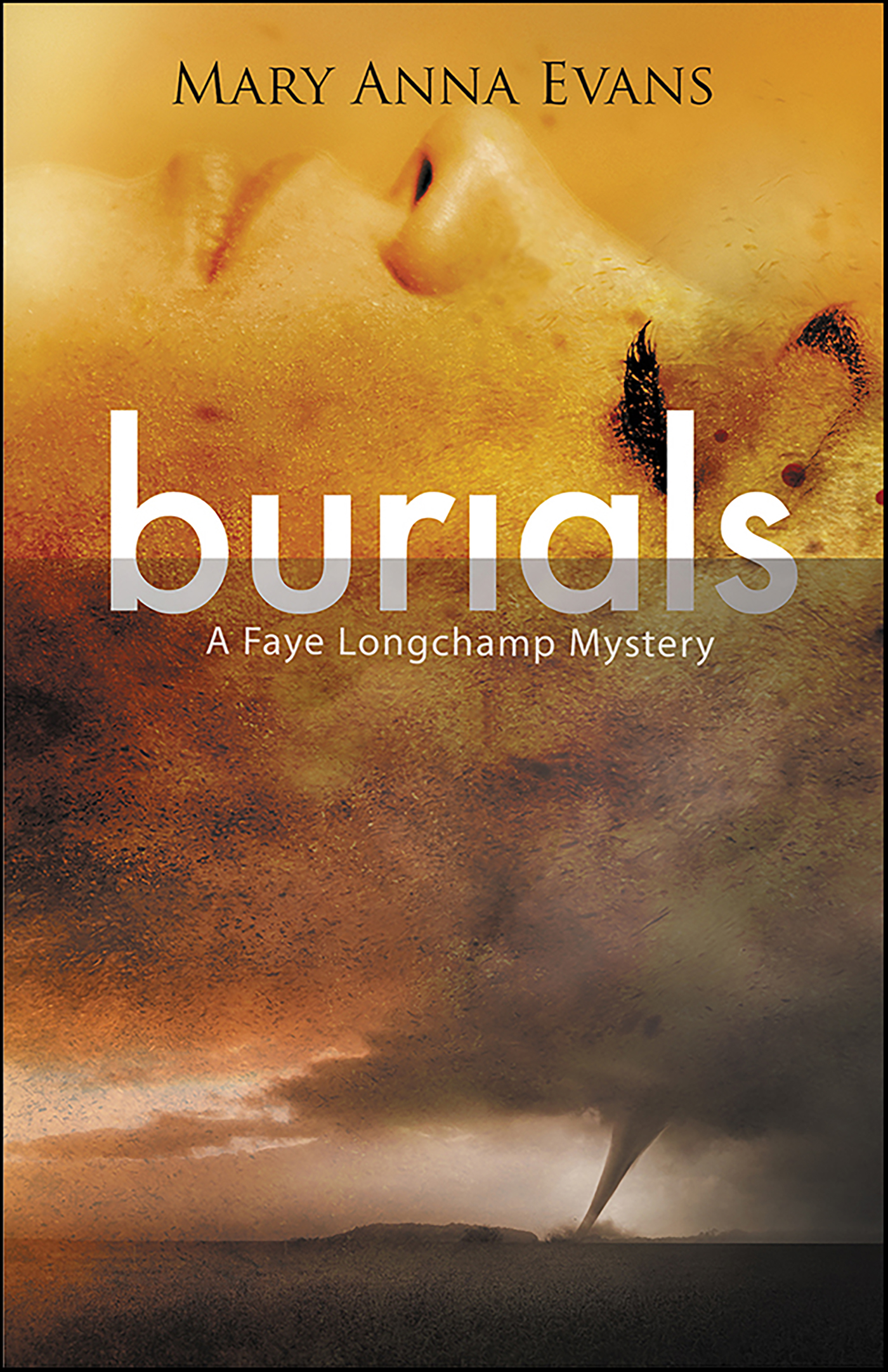 Cover image for Burials [electronic resource] :