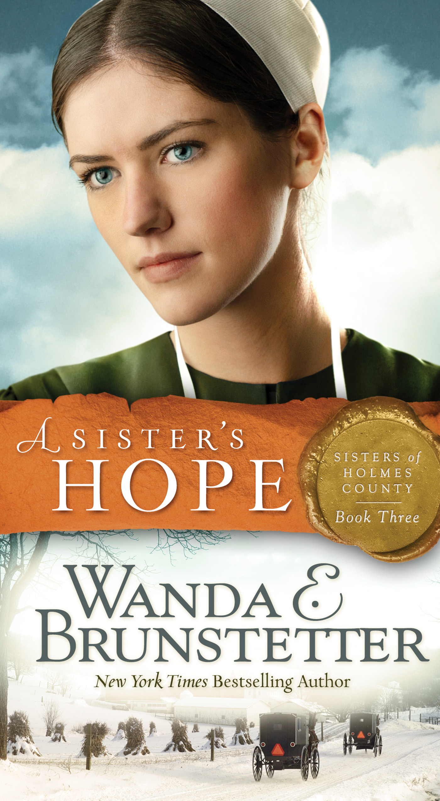 Umschlagbild für A Sister's Hope [electronic resource] :