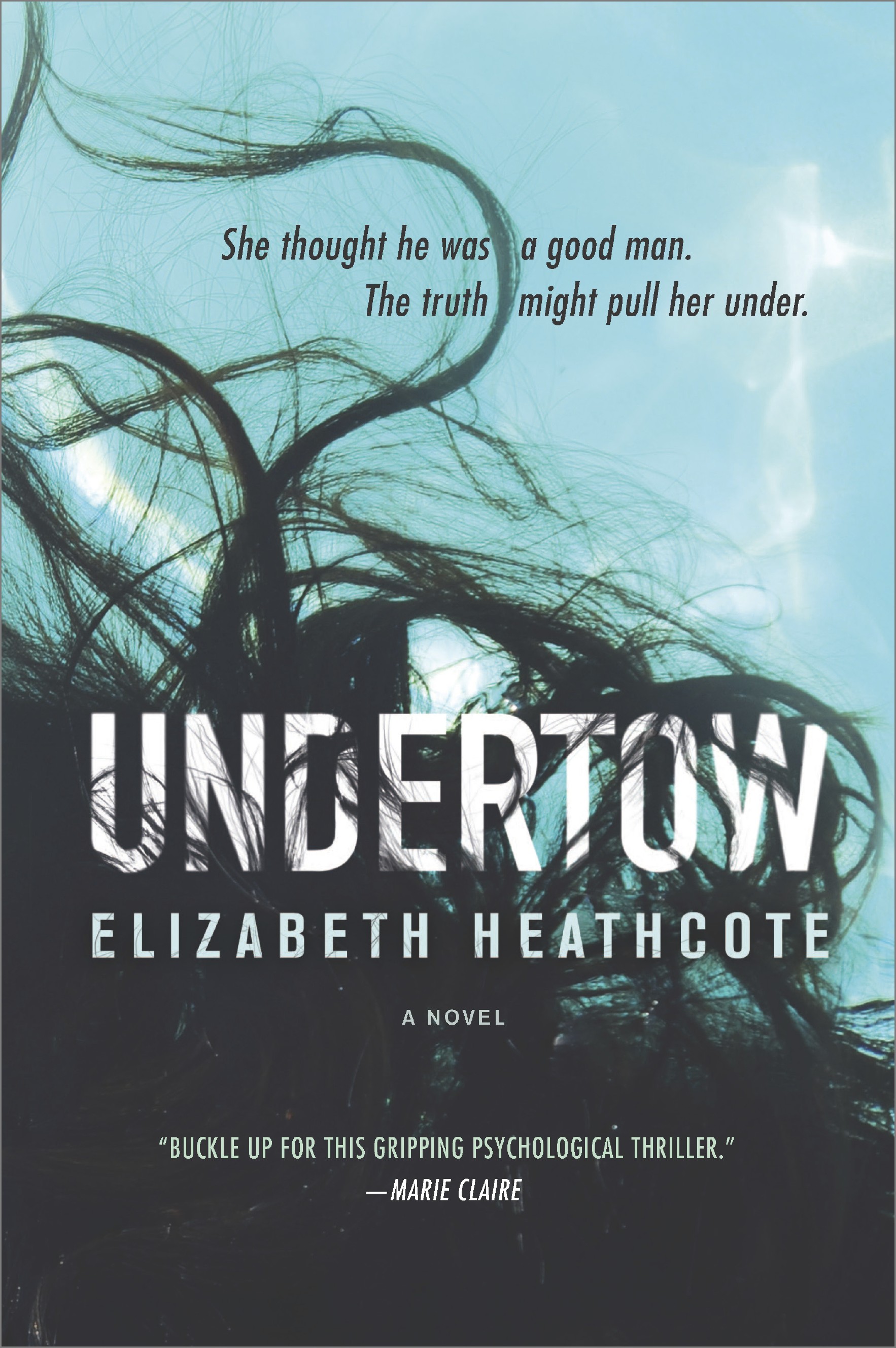 Cover image for Undertow [electronic resource] : A Novel