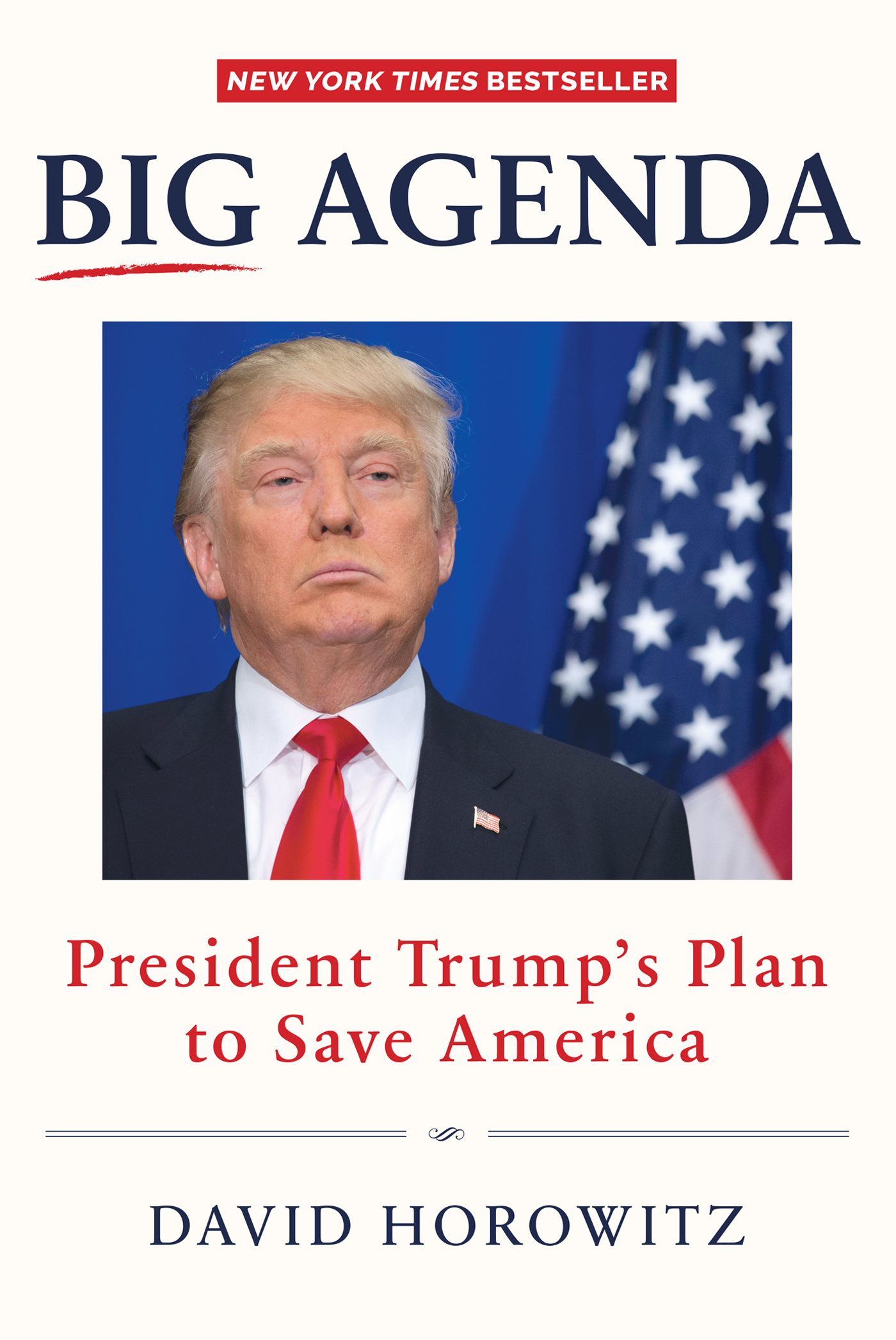 Cover image for BIG AGENDA [electronic resource] : President Trump's Plan to Save America