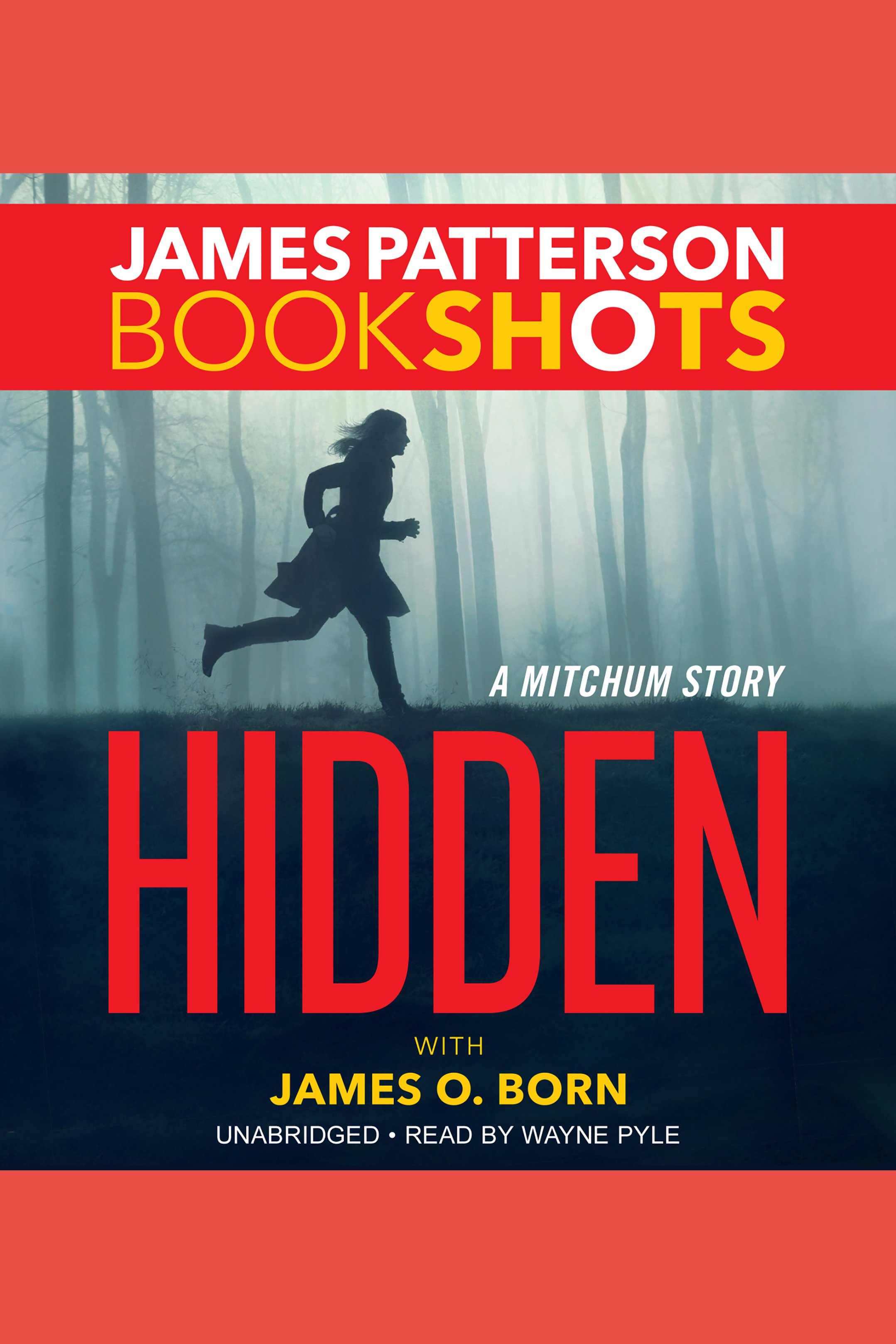 Cover image for Hidden [electronic resource] : A Mitchum Story