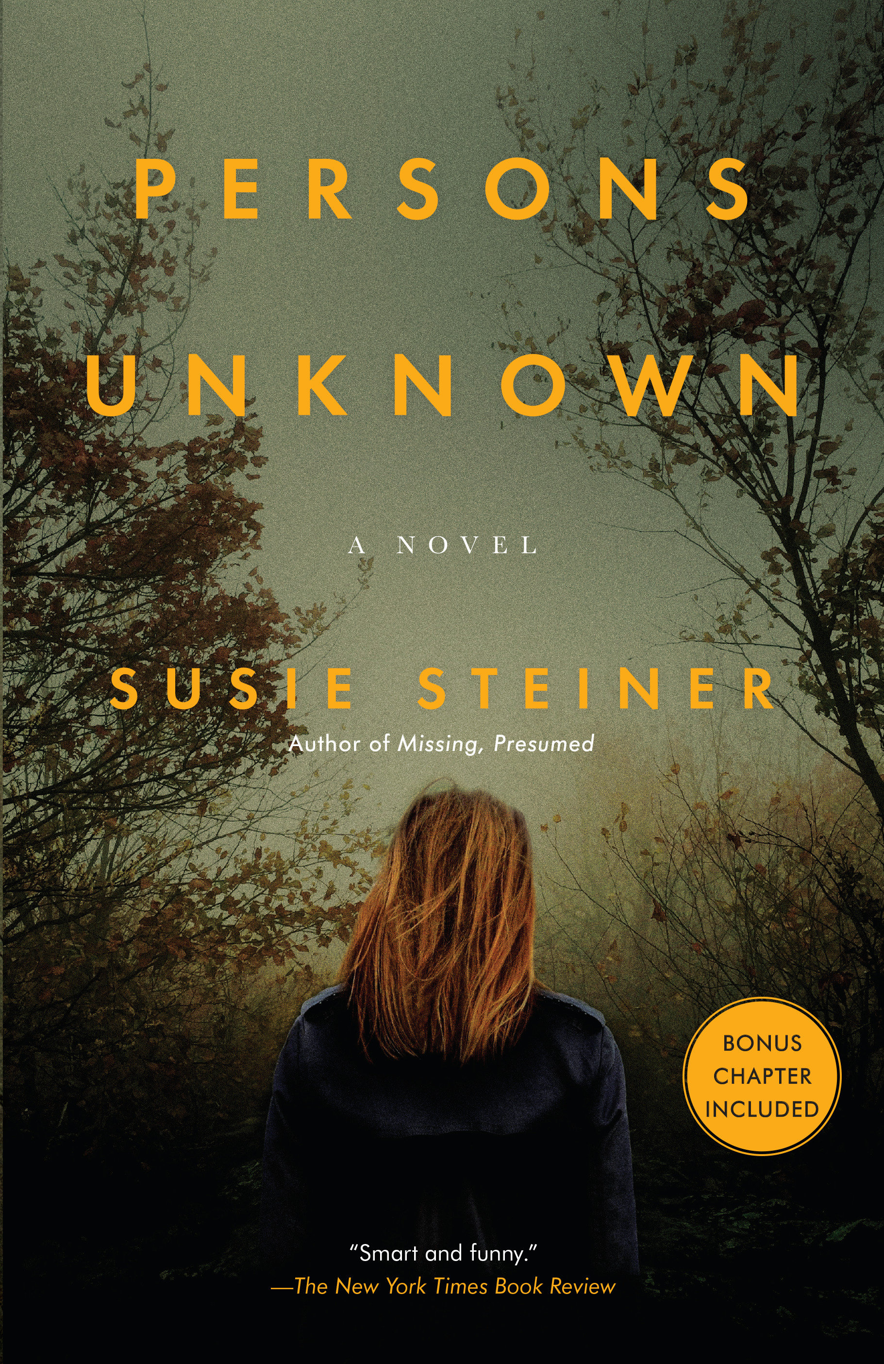 Cover image for Persons Unknown [electronic resource] : A Novel