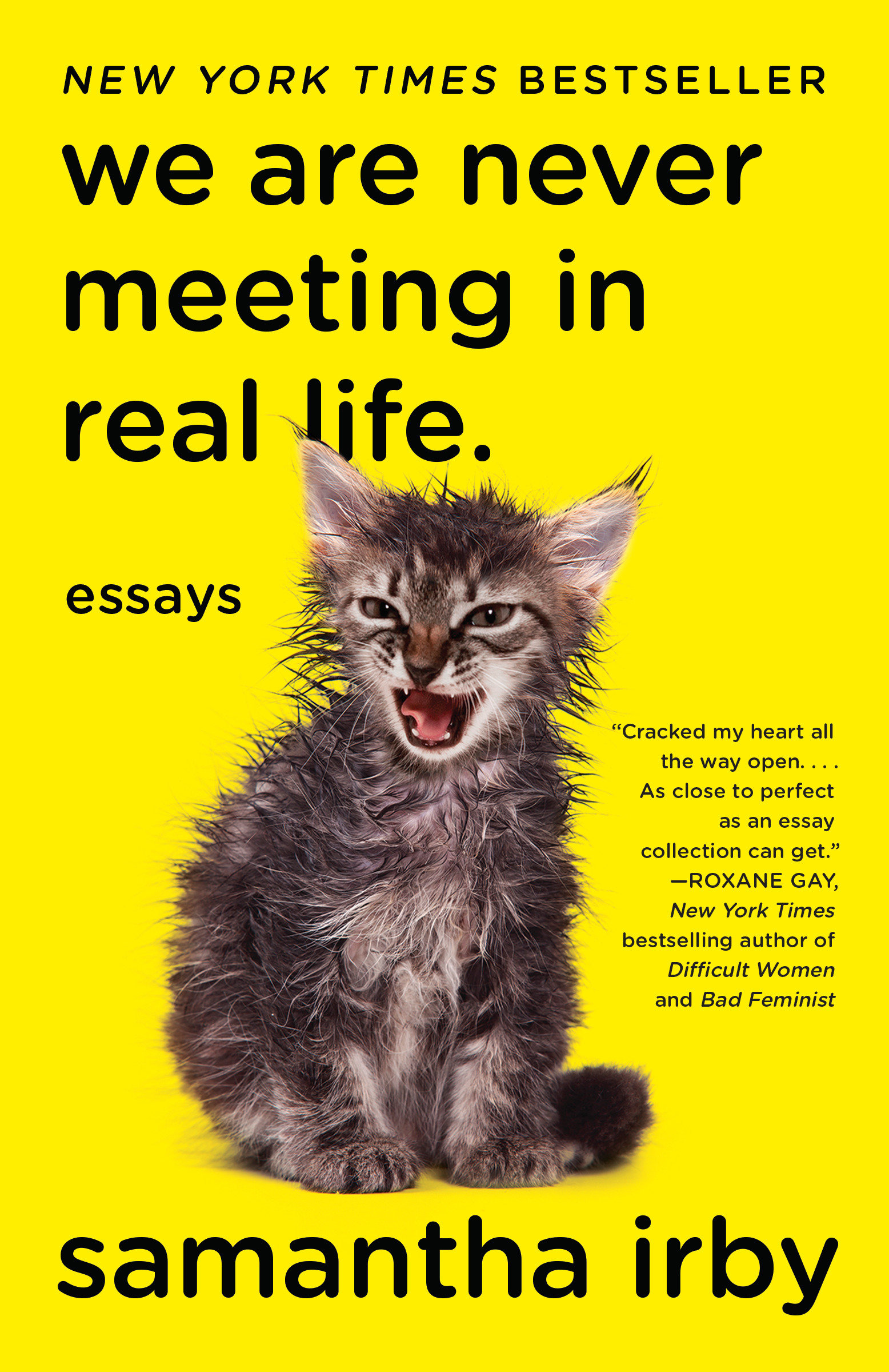 We are never meeting in real life. essays cover image