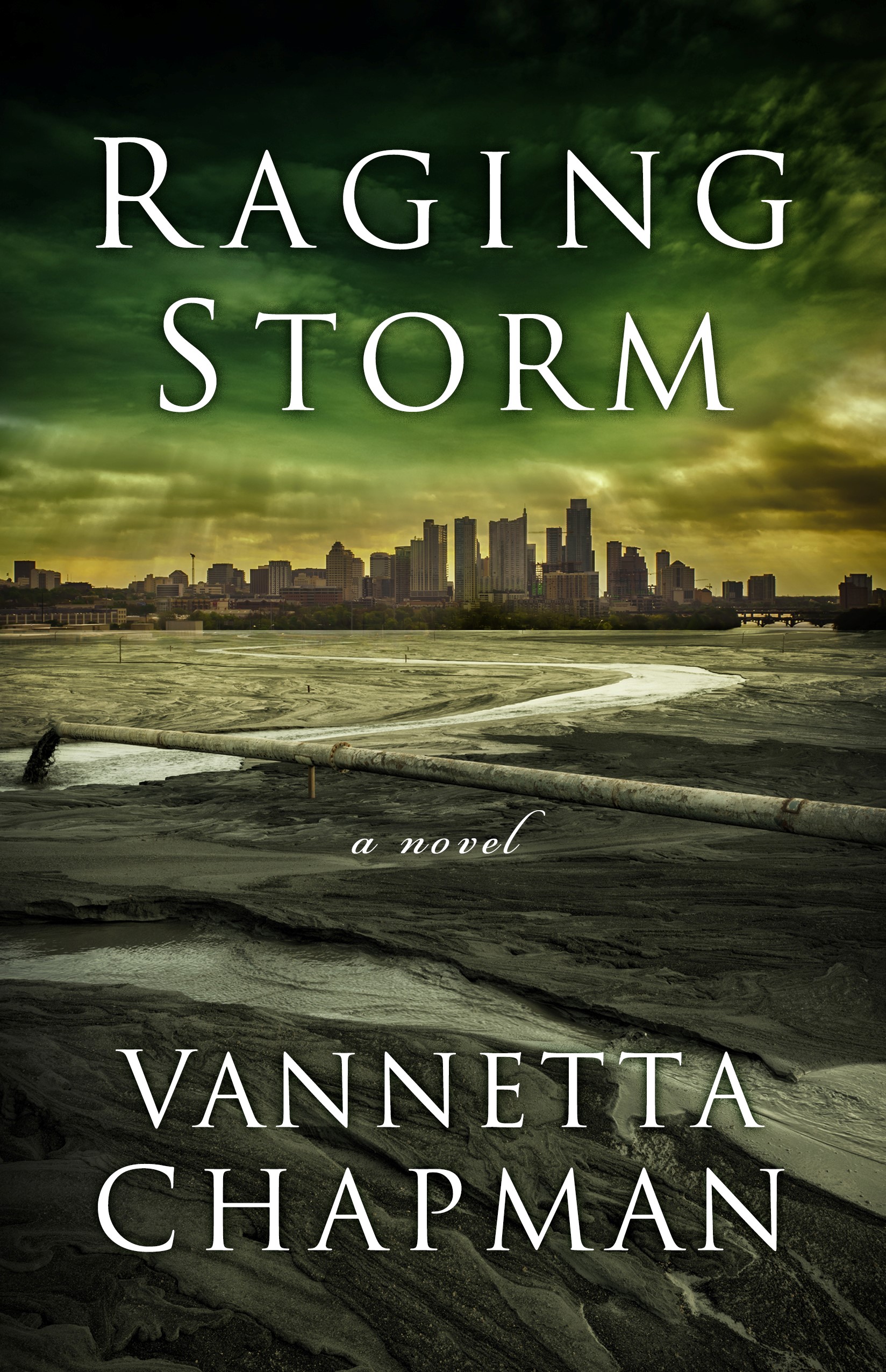 Cover image for Raging Storm [electronic resource] :