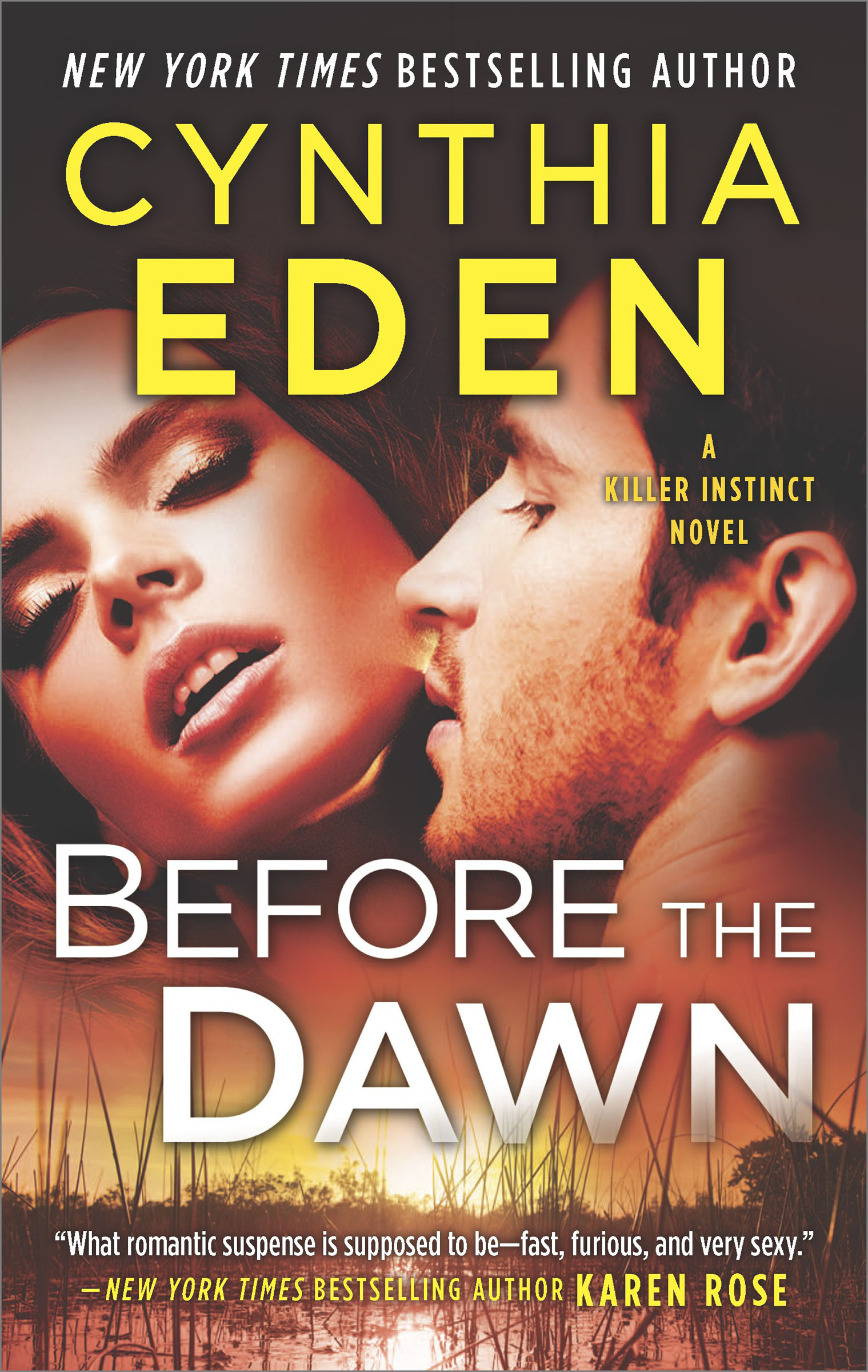 Cover image for Before the Dawn [electronic resource] :