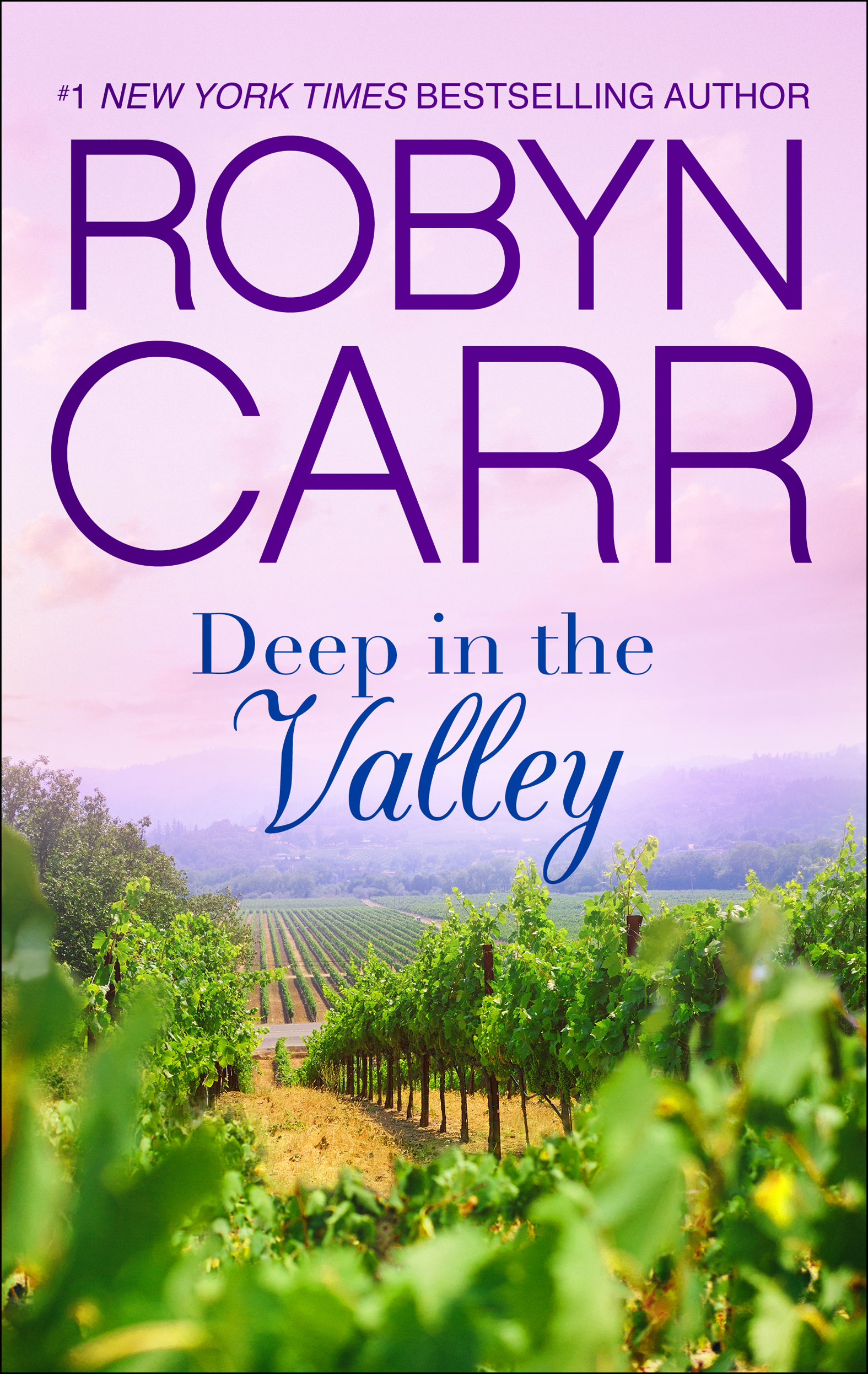 Cover image for Deep in the Valley [electronic resource] :