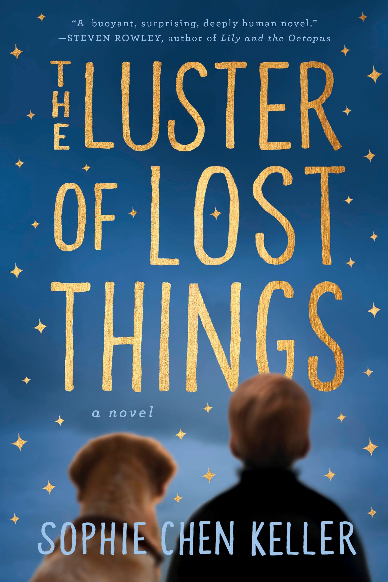 Imagen de portada para The Luster of Lost Things [electronic resource] :