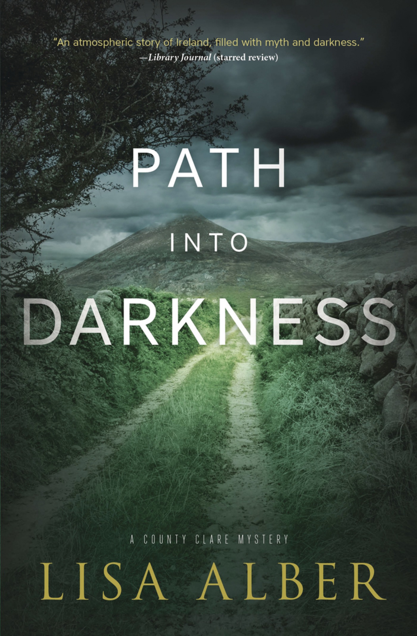 Cover image for Path into Darkness [electronic resource] :