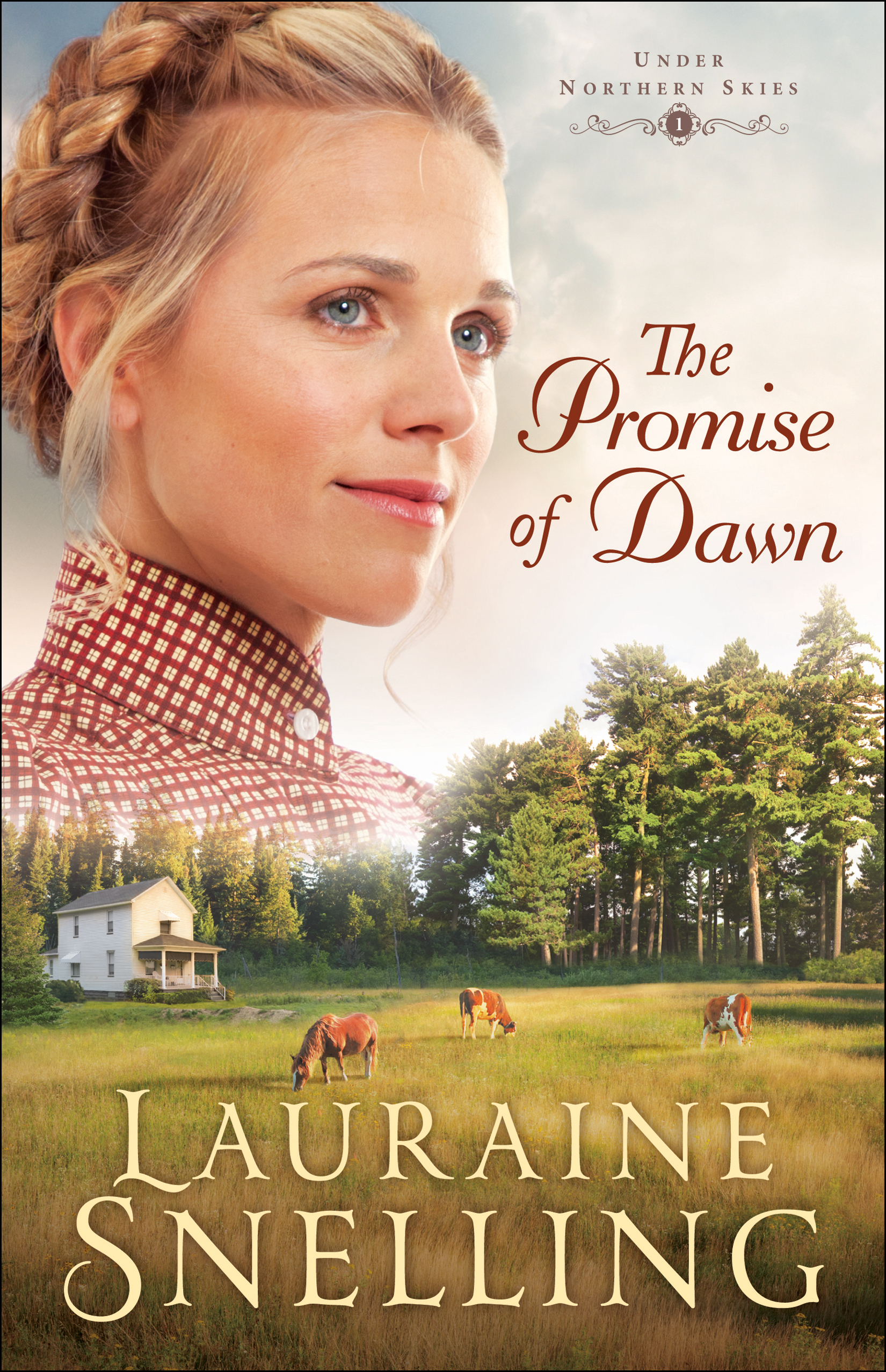 Cover image for The Promise of Dawn (Under Northern Skies Book #1) [electronic resource] :